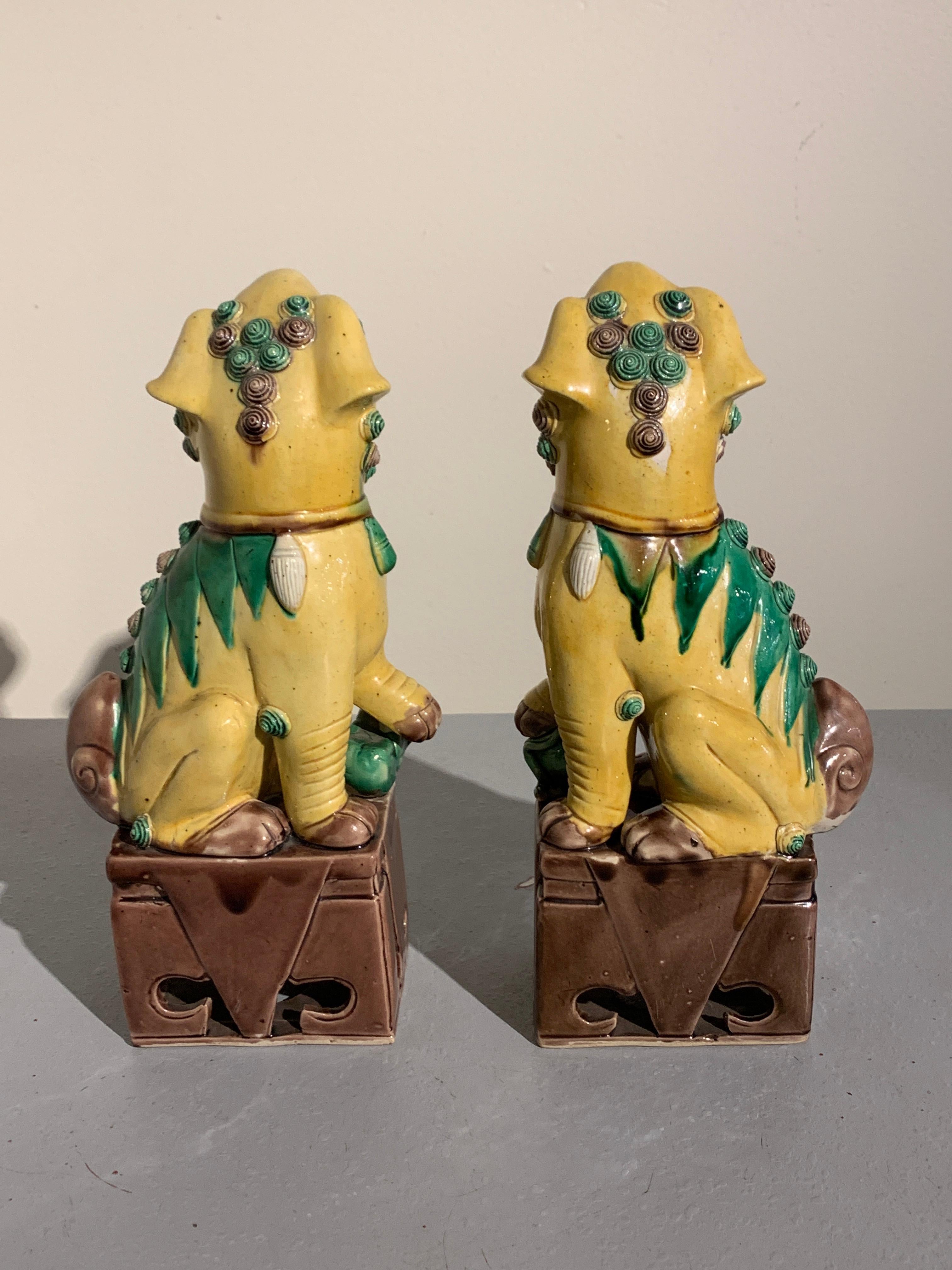 Qing Pair of Chinese Yellow Glazed Porcelain Foo Dogs, circa 1930s