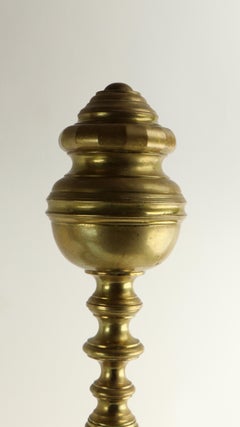 Pair of Chippendale Revival Brass Andirons