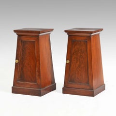Pair classical Regency mahogany pedestal cabinets