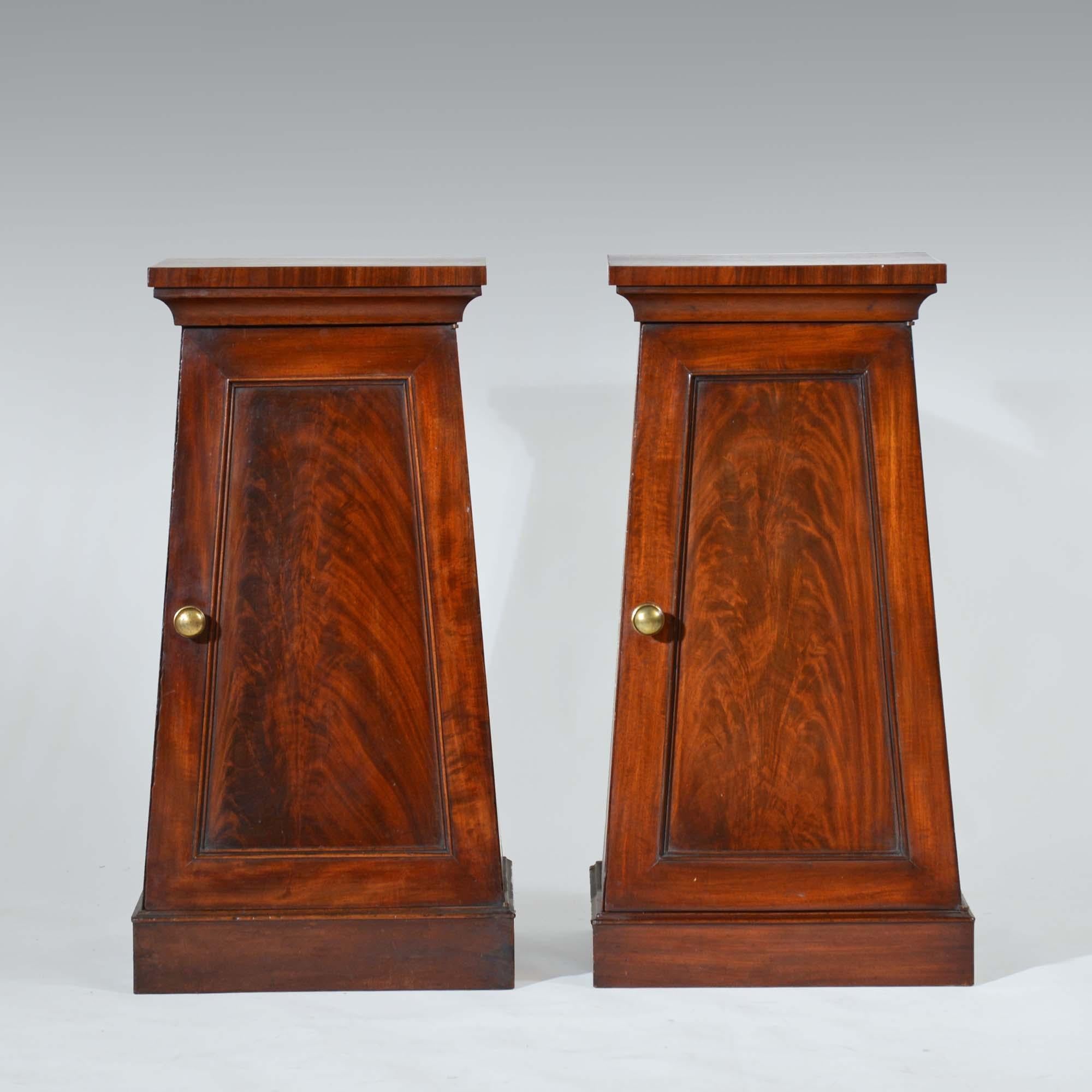 English Pair classical Regency mahogany pedestal cabinets For Sale