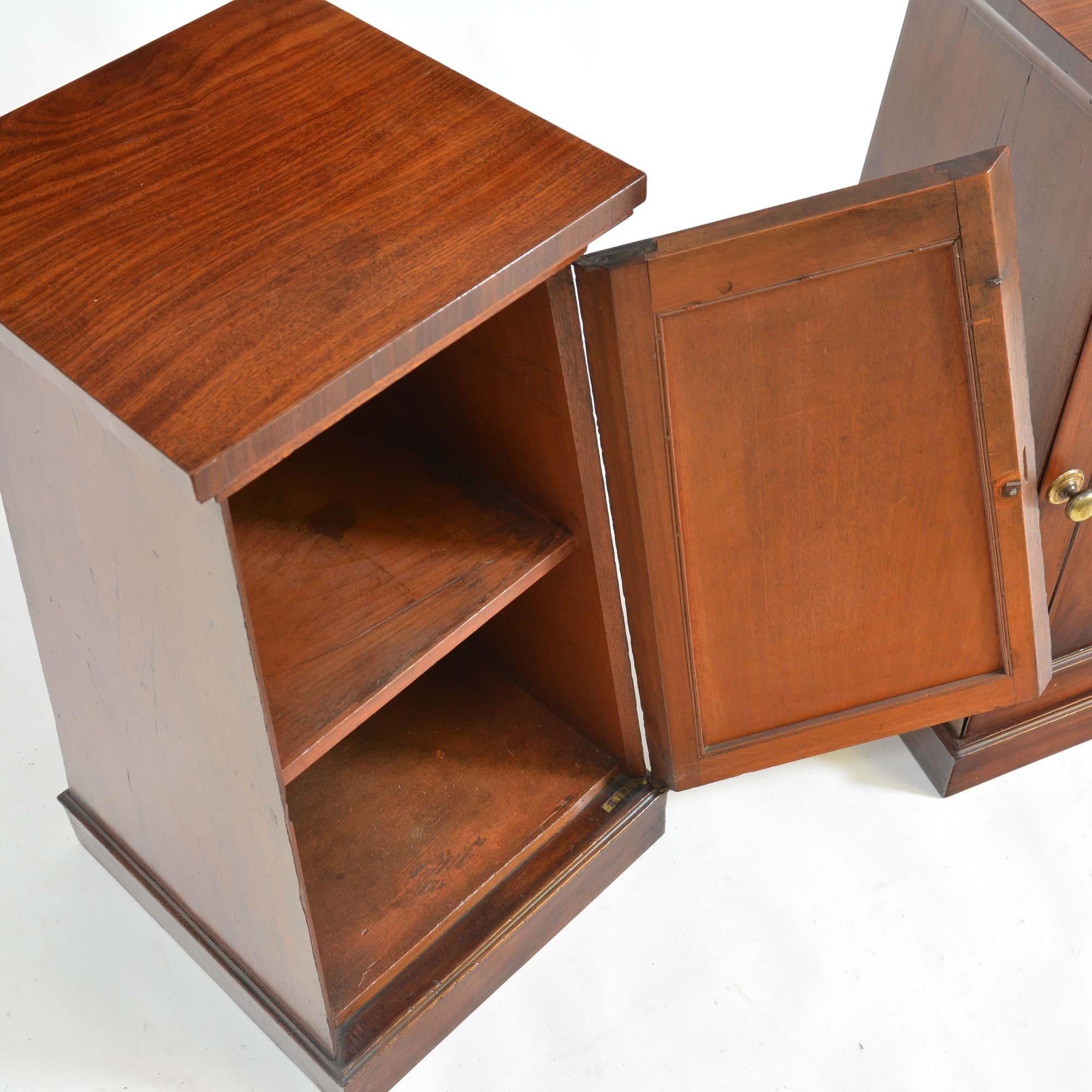 Pair classical Regency mahogany pedestal cabinets For Sale 2