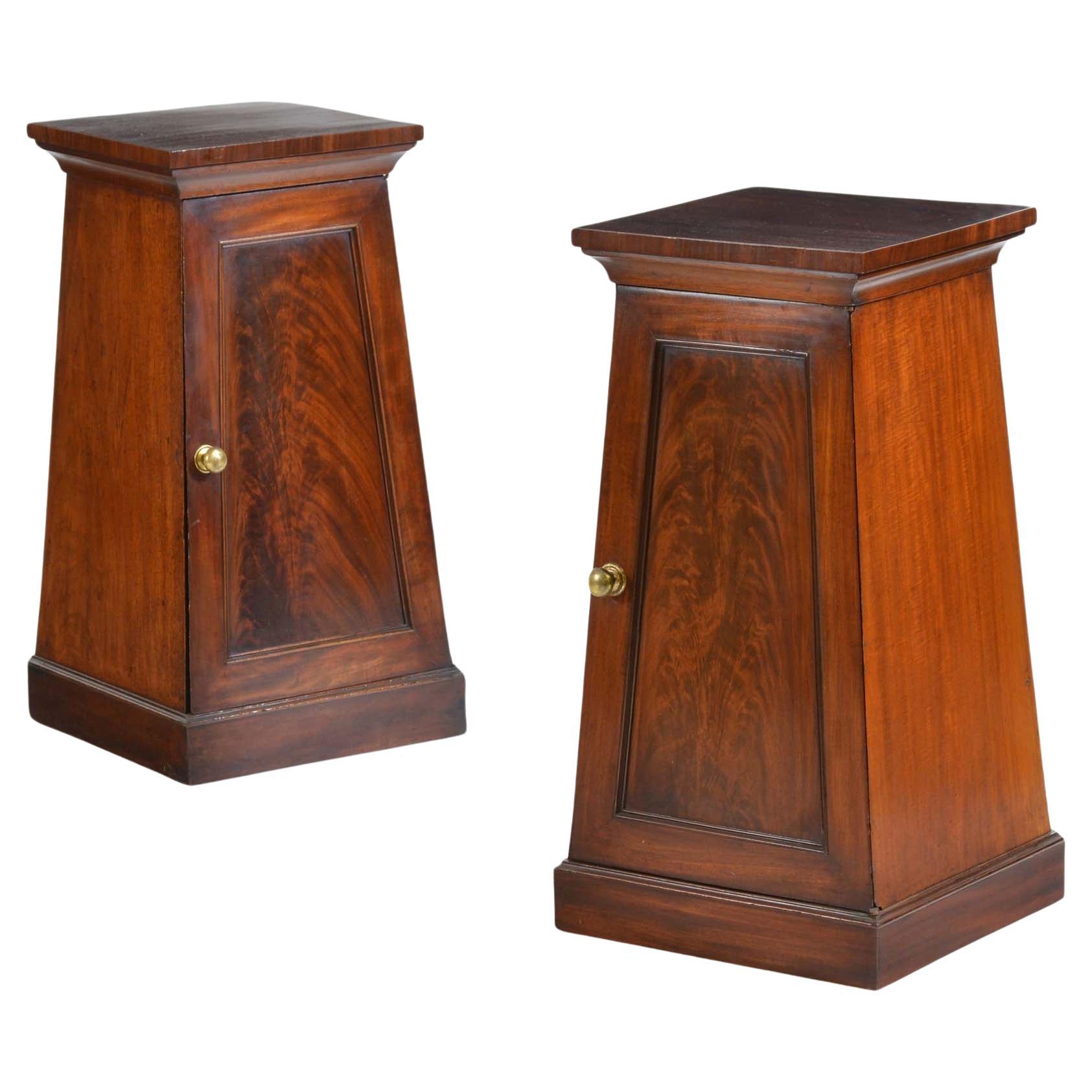 Pair classical Regency mahogany pedestal cabinets For Sale