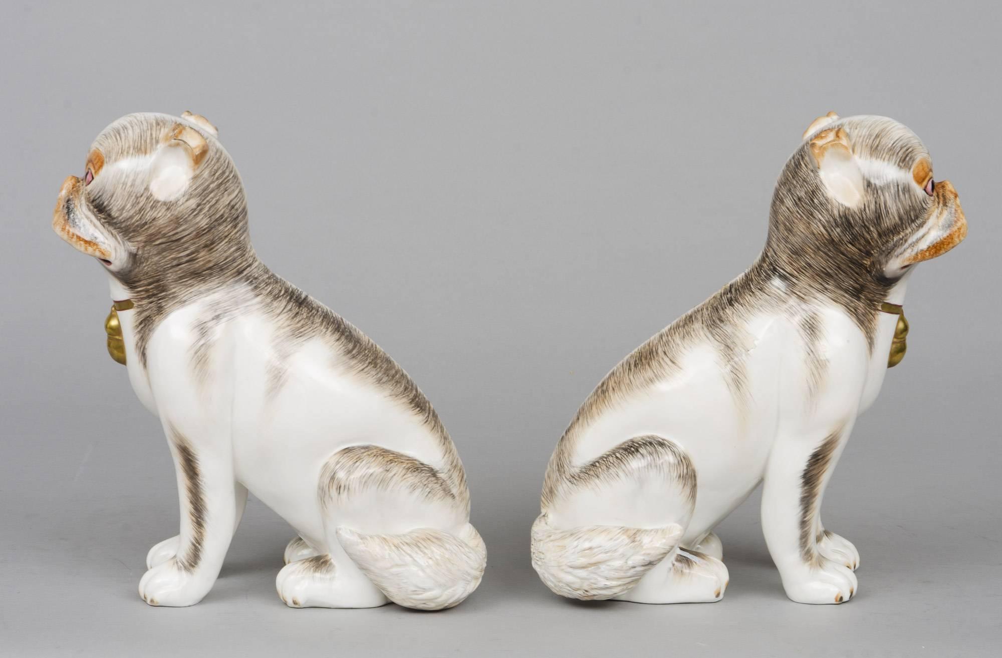 German Pair of Continental Porcelain Pug Dogs For Sale