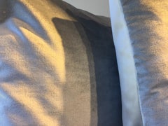 Pair Cushion Color Ice Green Silk Velvet and Silk Satin at the Back