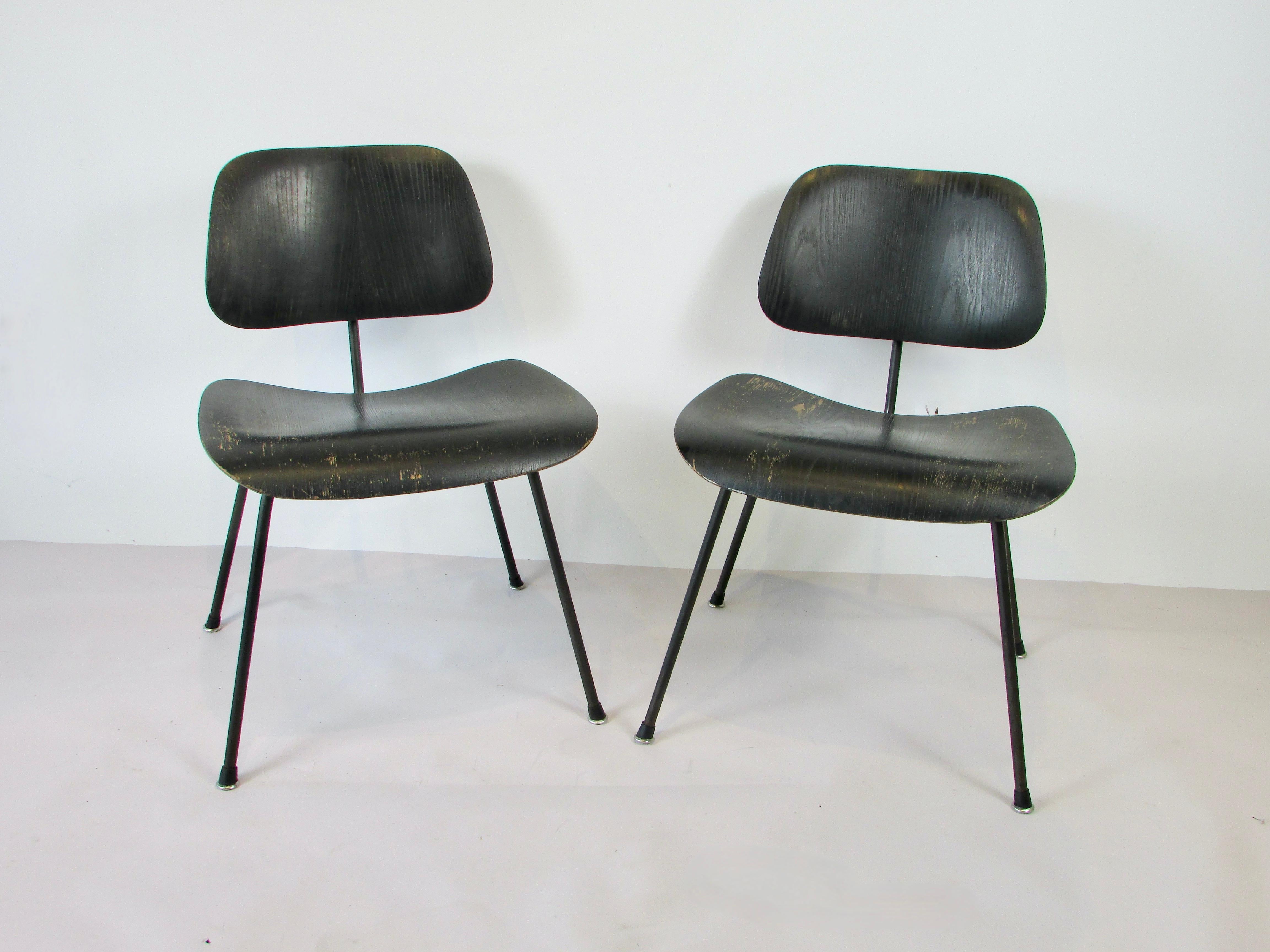 Pair of early production Dining Chair Metal DCM designed by the Charles and Ray Eames team . Black wrought iron frames support black aniline dyed wood seats and backs. Finish shows wear and age as patina more than anything.