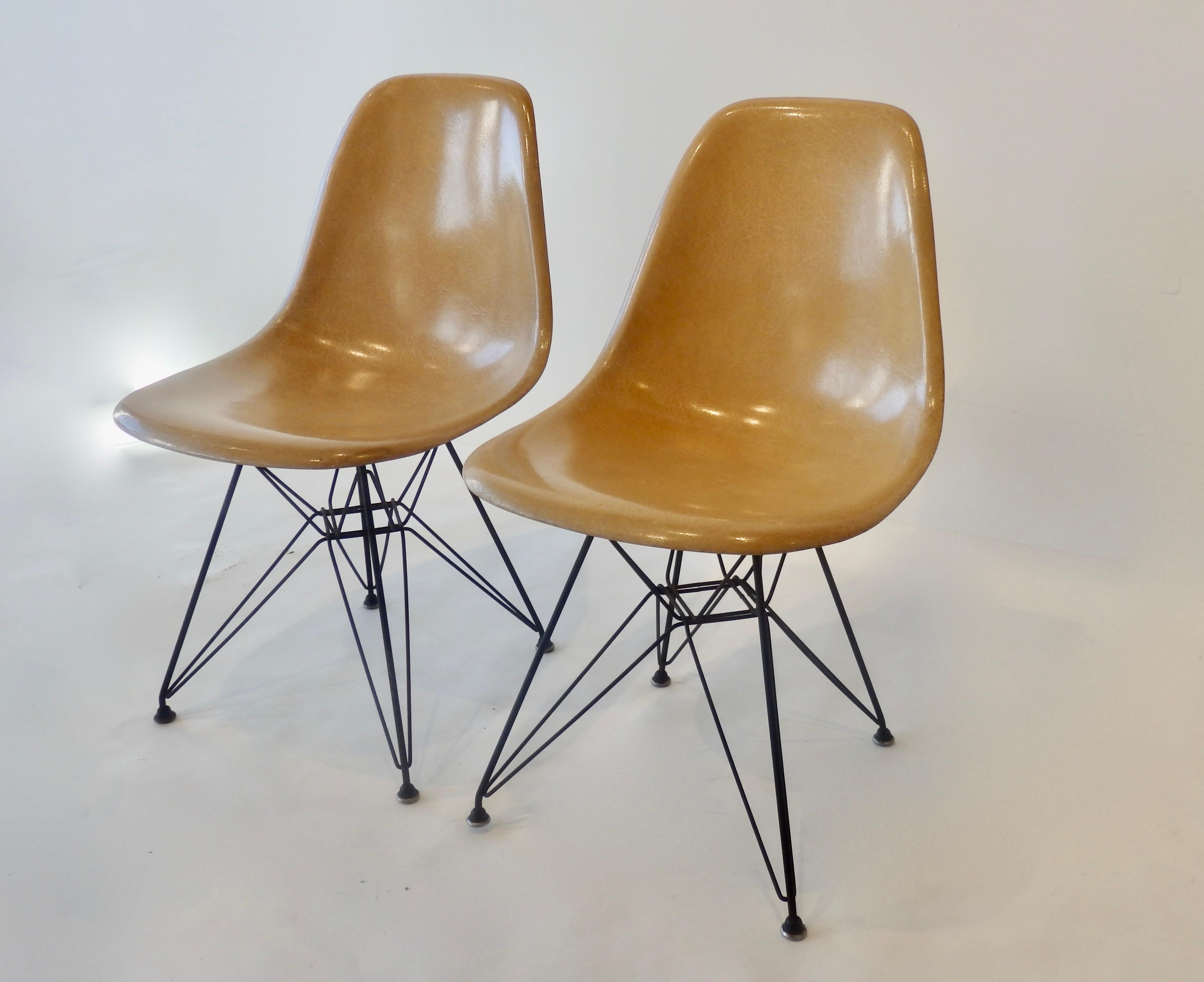 Nice golden patina on a pair of Charles and Ray Eames fiberglass shell chairs. Earlier production with original slotted screws attaching Eiffel tower bases with original rubber boot glides.