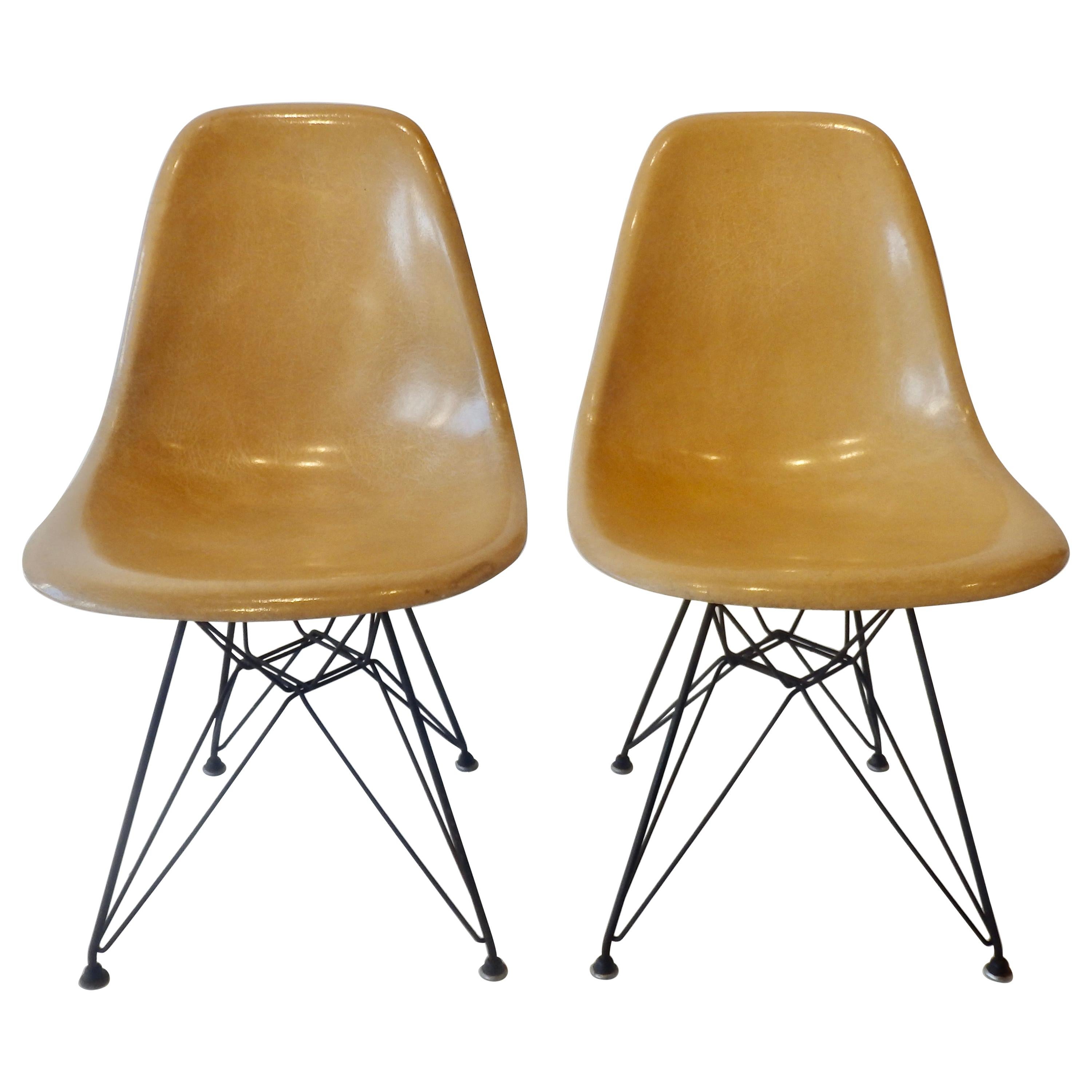 Pair of Eames Fiberglass DSR Chairs on Eiffel Tower Bases
