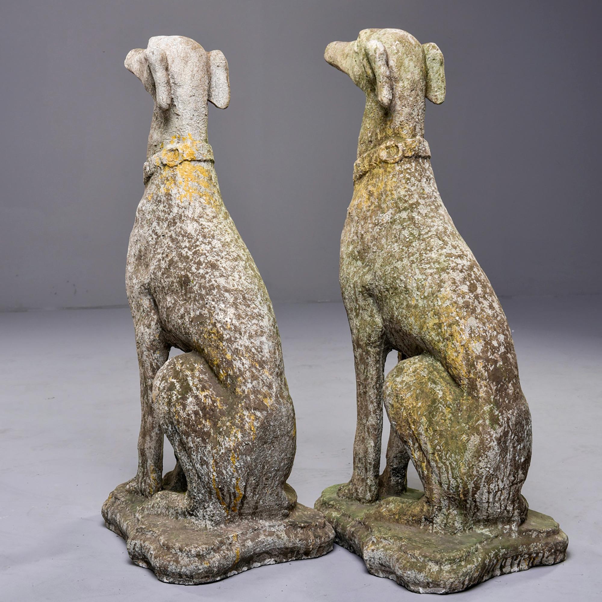 Pair of Early 20th Century French Whippet Dog Garden Statues In Good Condition In Troy, MI