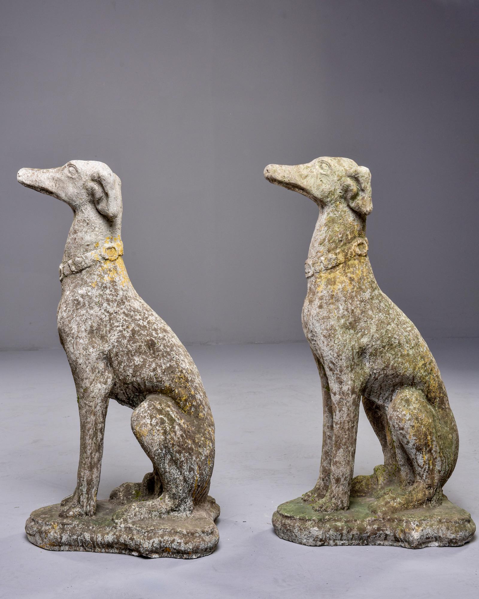 Concrete Pair of Early 20th Century French Whippet Dog Garden Statues