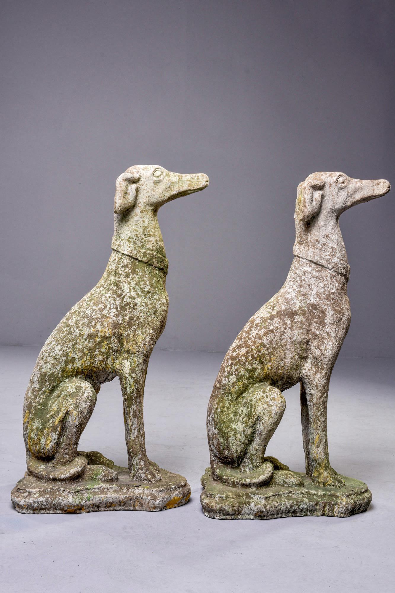 Pair of Early 20th Century French Whippet Dog Garden Statues 1