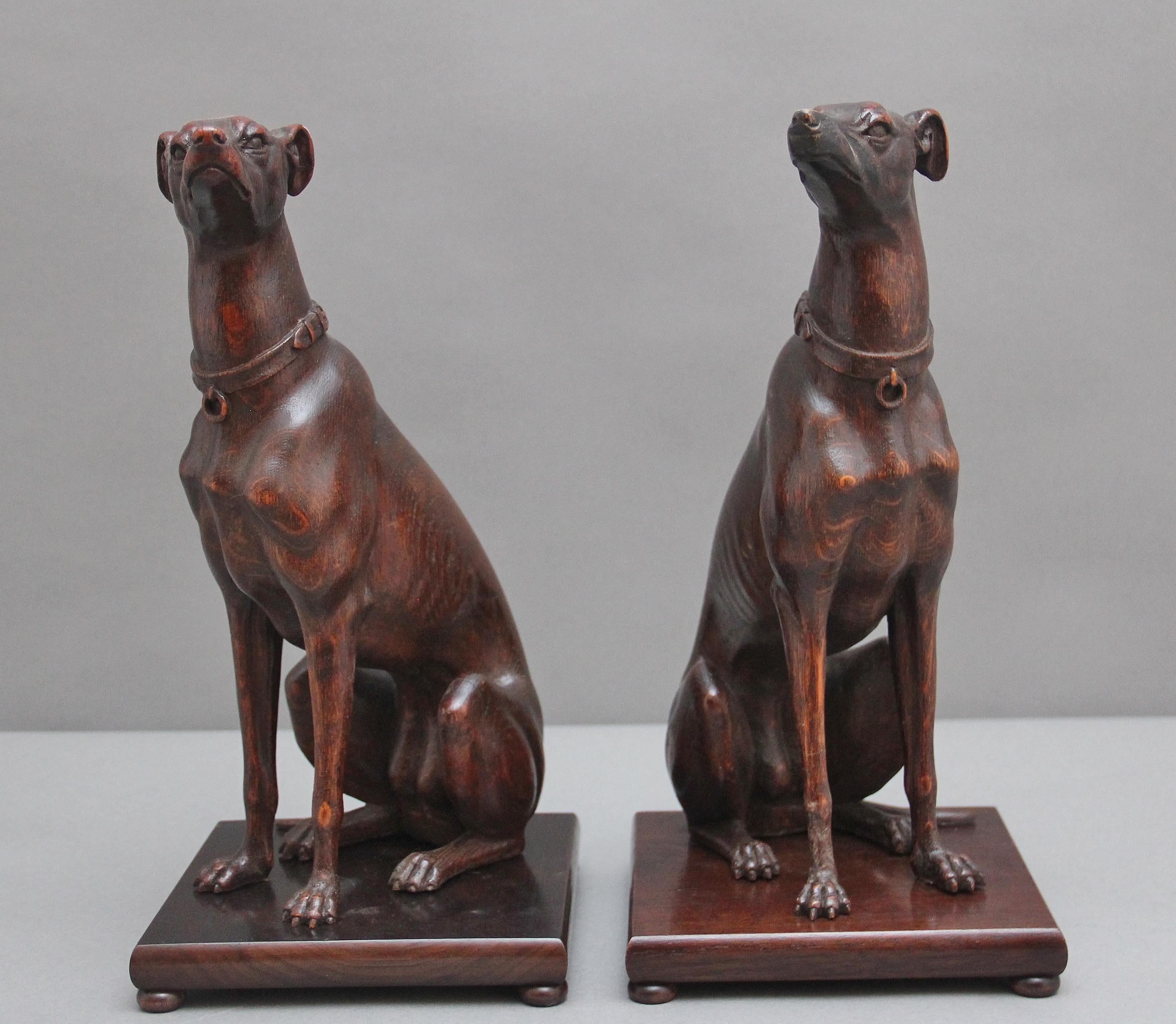 A pair of superb quality early 20th Century carved oak greyhounds, both dogs sitting on a square platform base raised on bun feet, very well carved and the attention to detail is fabulous.  Circa 1920.