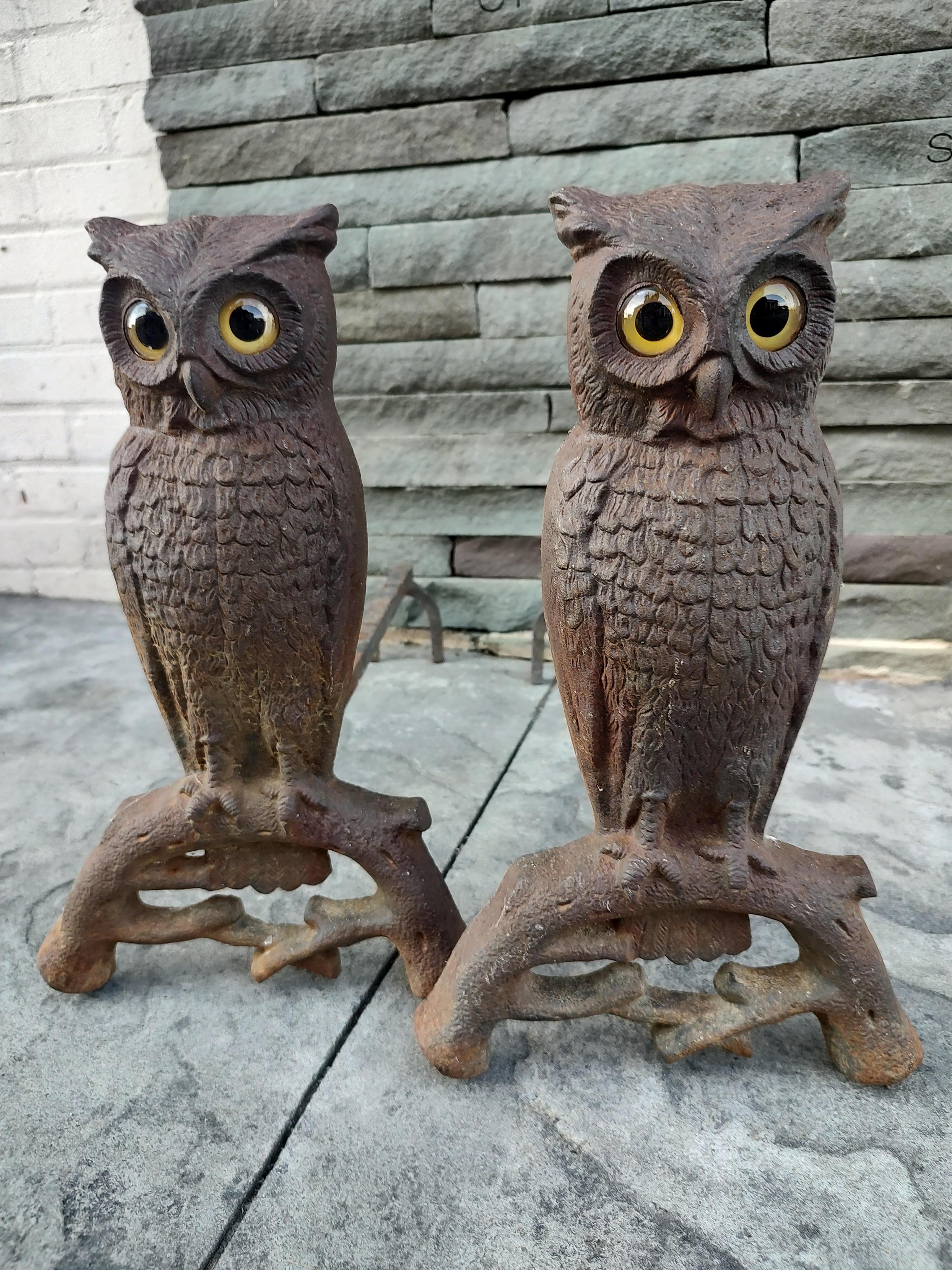 Pair Early 20th Century Cast Iron Owl with Glass Eyes Andirons by Howe Boston 5