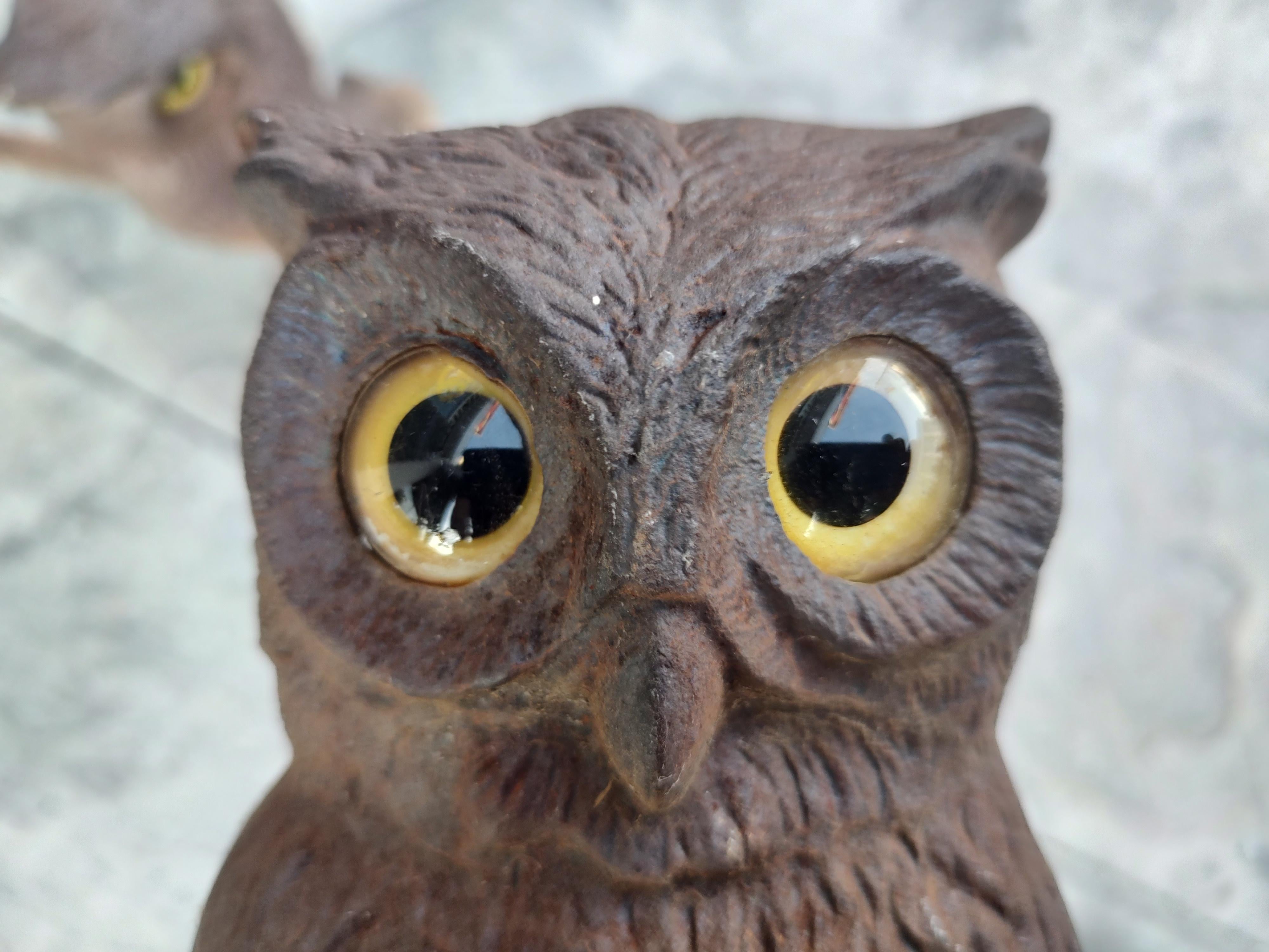 American Pair Early 20th Century Cast Iron Owl with Glass Eyes Andirons by Howe Boston