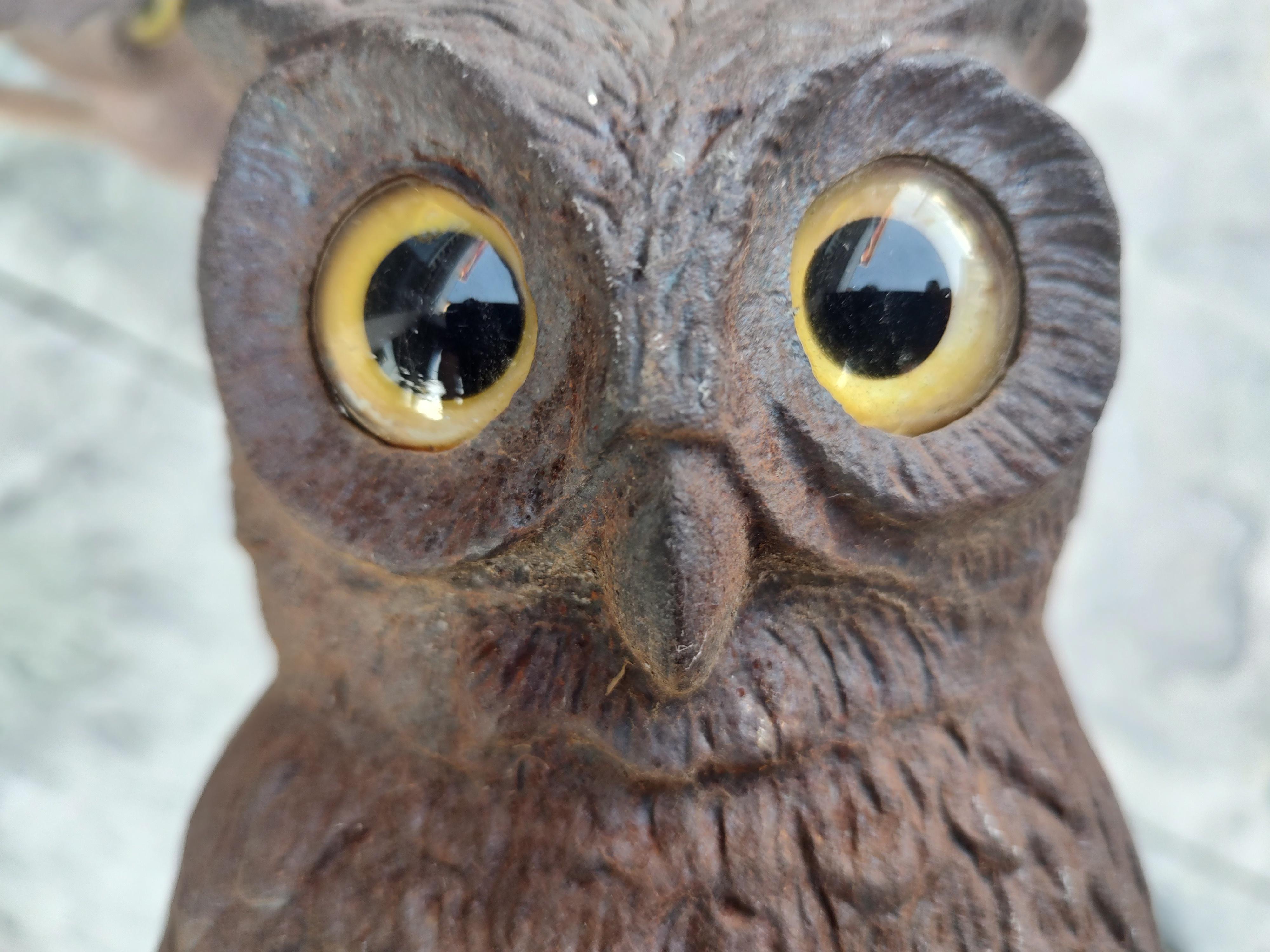 Pair Early 20th Century Cast Iron Owl with Glass Eyes Andirons by Howe Boston In Good Condition In Port Jervis, NY