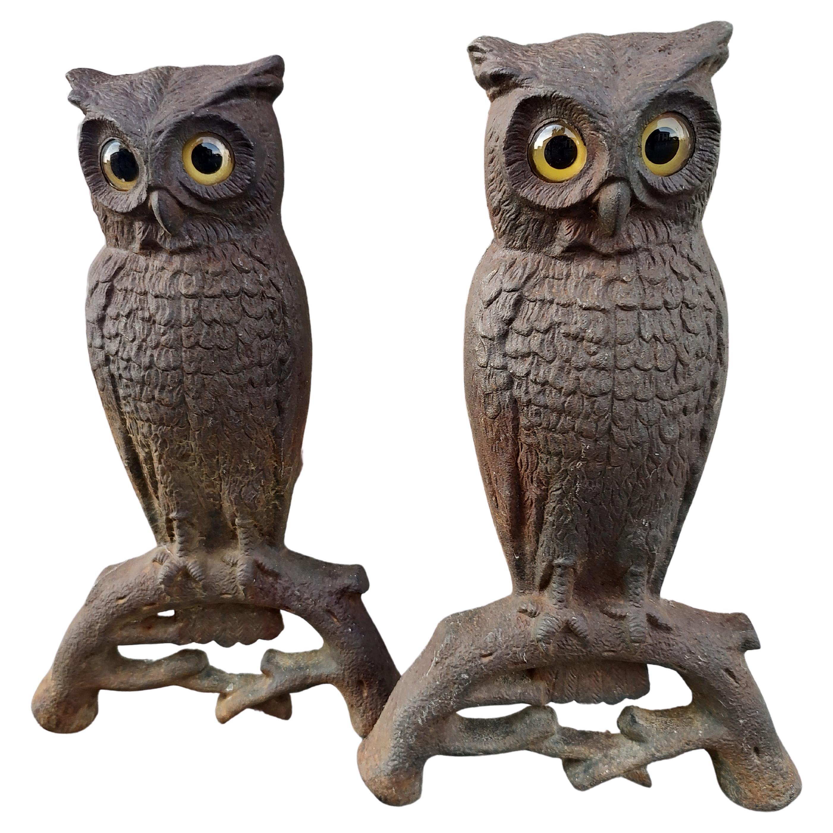 Pair Early 20th Century Cast Iron Owl with Glass Eyes Andirons by Howe Boston