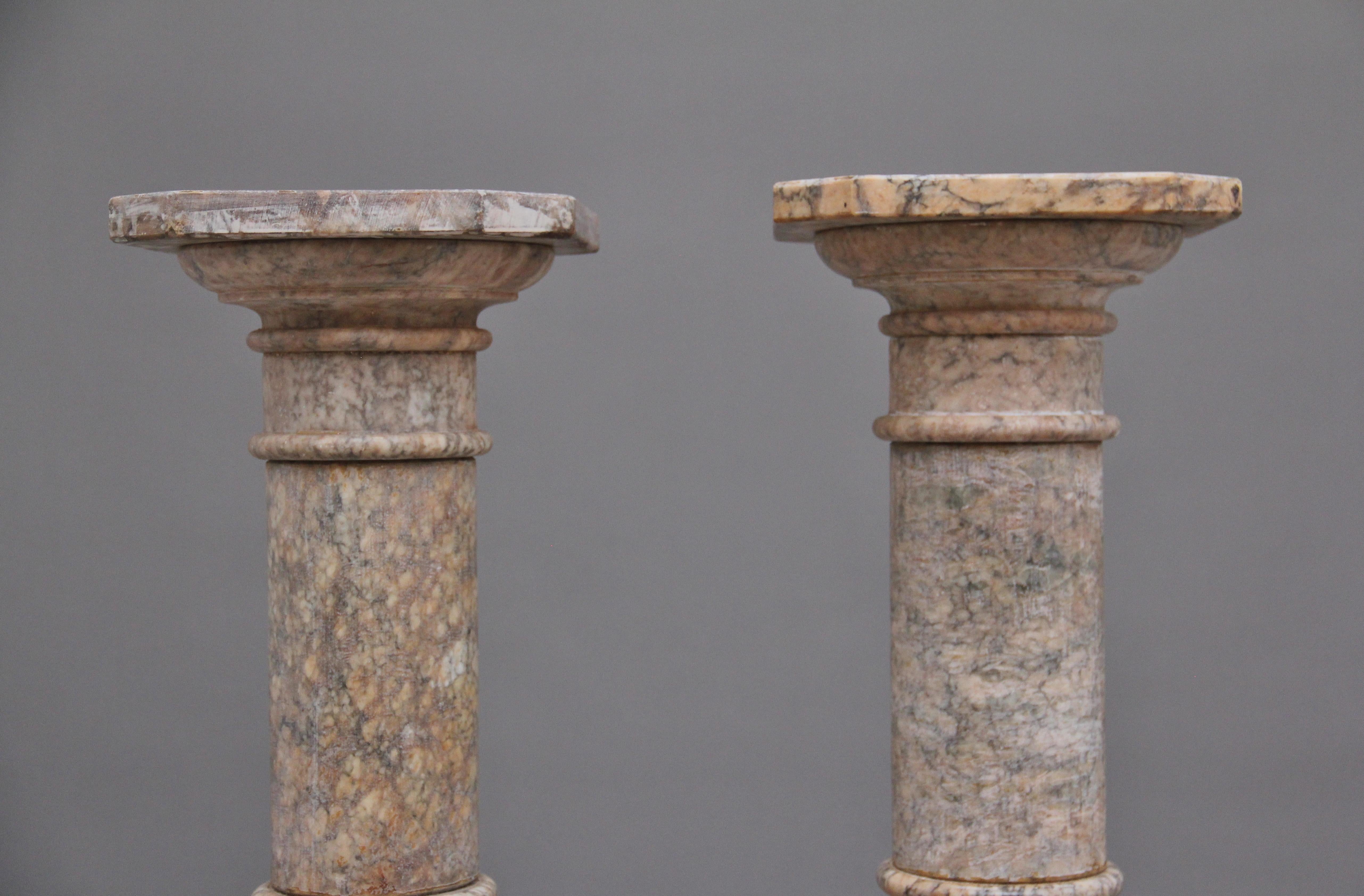 Pair Early 20th Century Italian Pedestal Columns For Sale 2