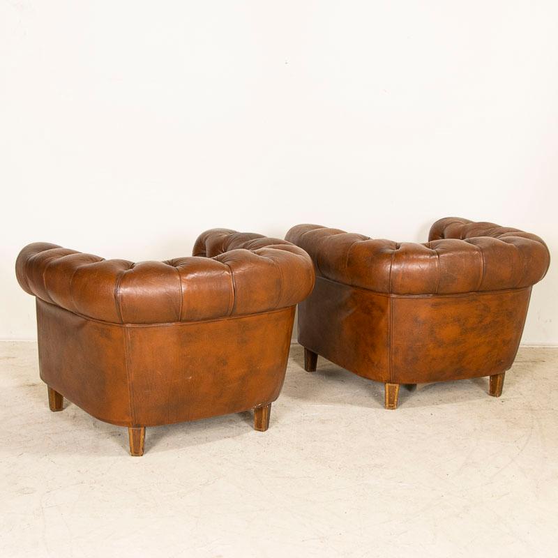 Pair, Early 20th Century Vintage Leather Barrel Back Club Chairs from Denmark 1
