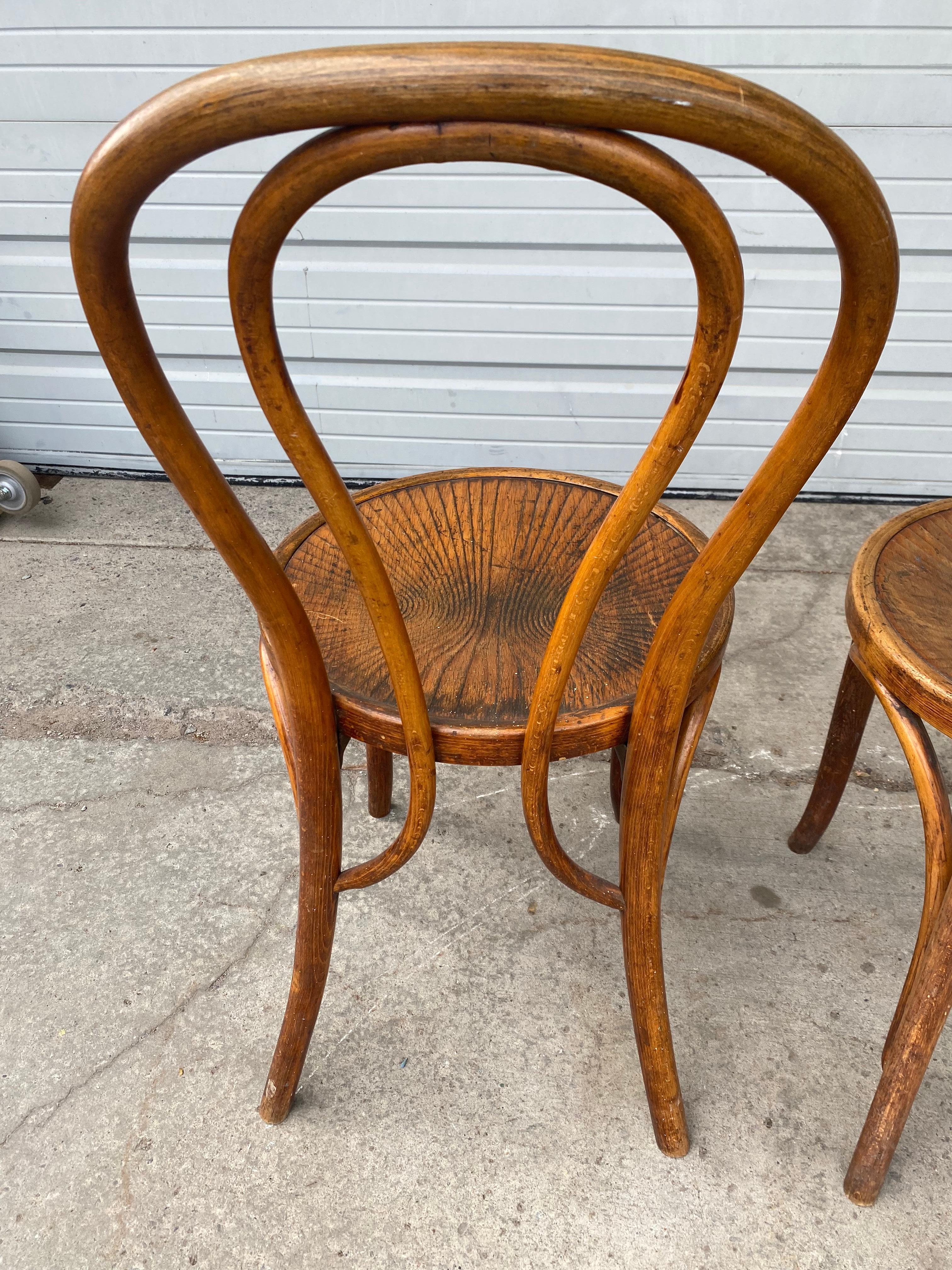 Pair early bentwood chairs, J J Kohn. Mundus, Retain original labels. Fourty years in the antique business, I have never seen this back configuration (note how bentwood goes beyond seat and attaches to rear legs). Rare find.
