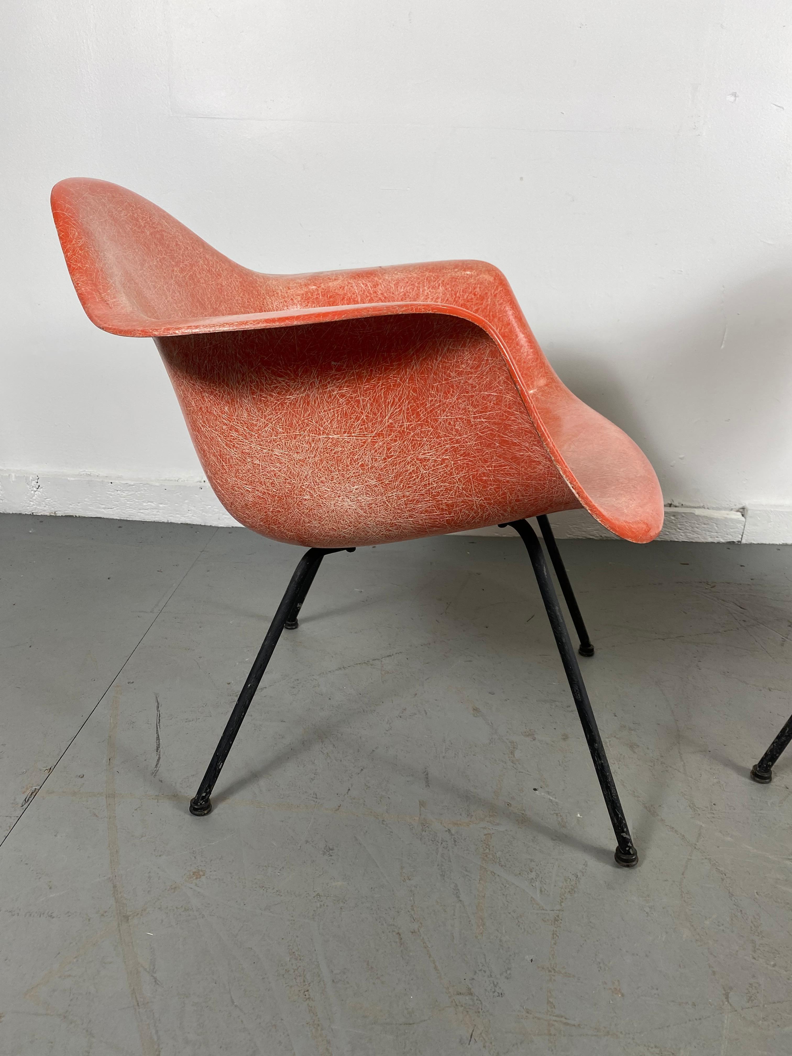 Charles and Ray Eames designed low lounge armshell with X-base. Zinc base, painted black, original screws, original boot glides. Early transitional salmon fiberglass shell 2nd generation mounts, stunning color, finish, exposed fibers.