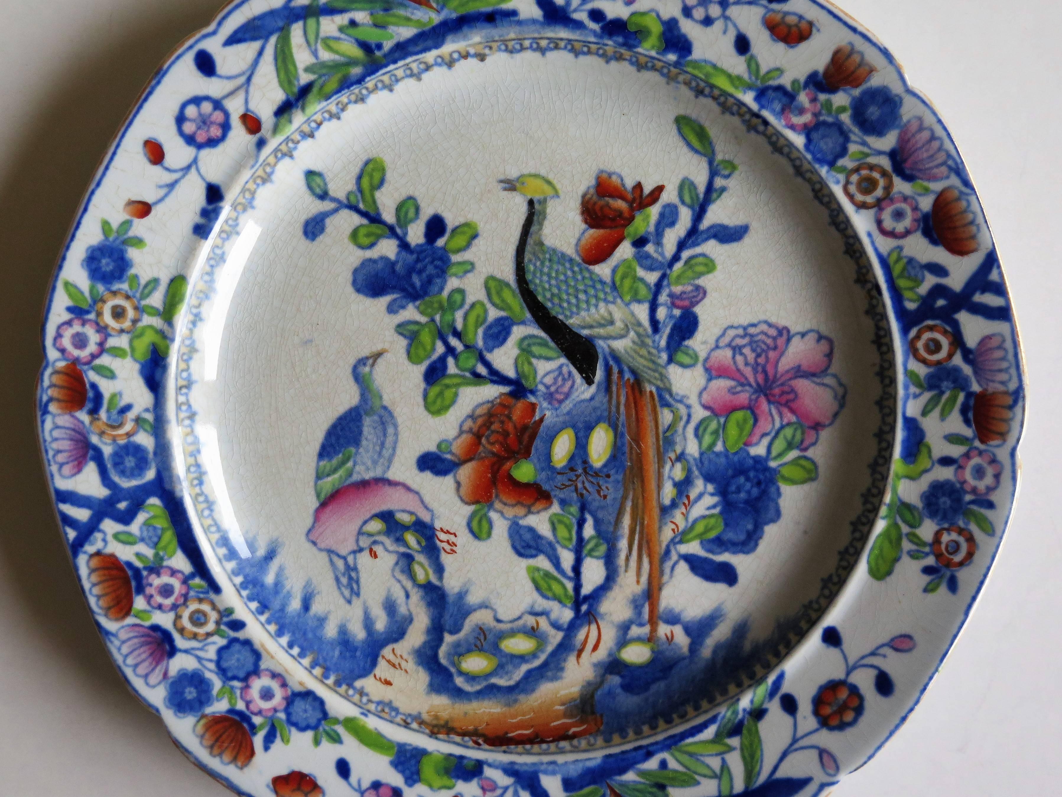 Early PAIR of Mason's Ironstone Side Plates Oriental Pheasant Pattern, Ca 1815 3