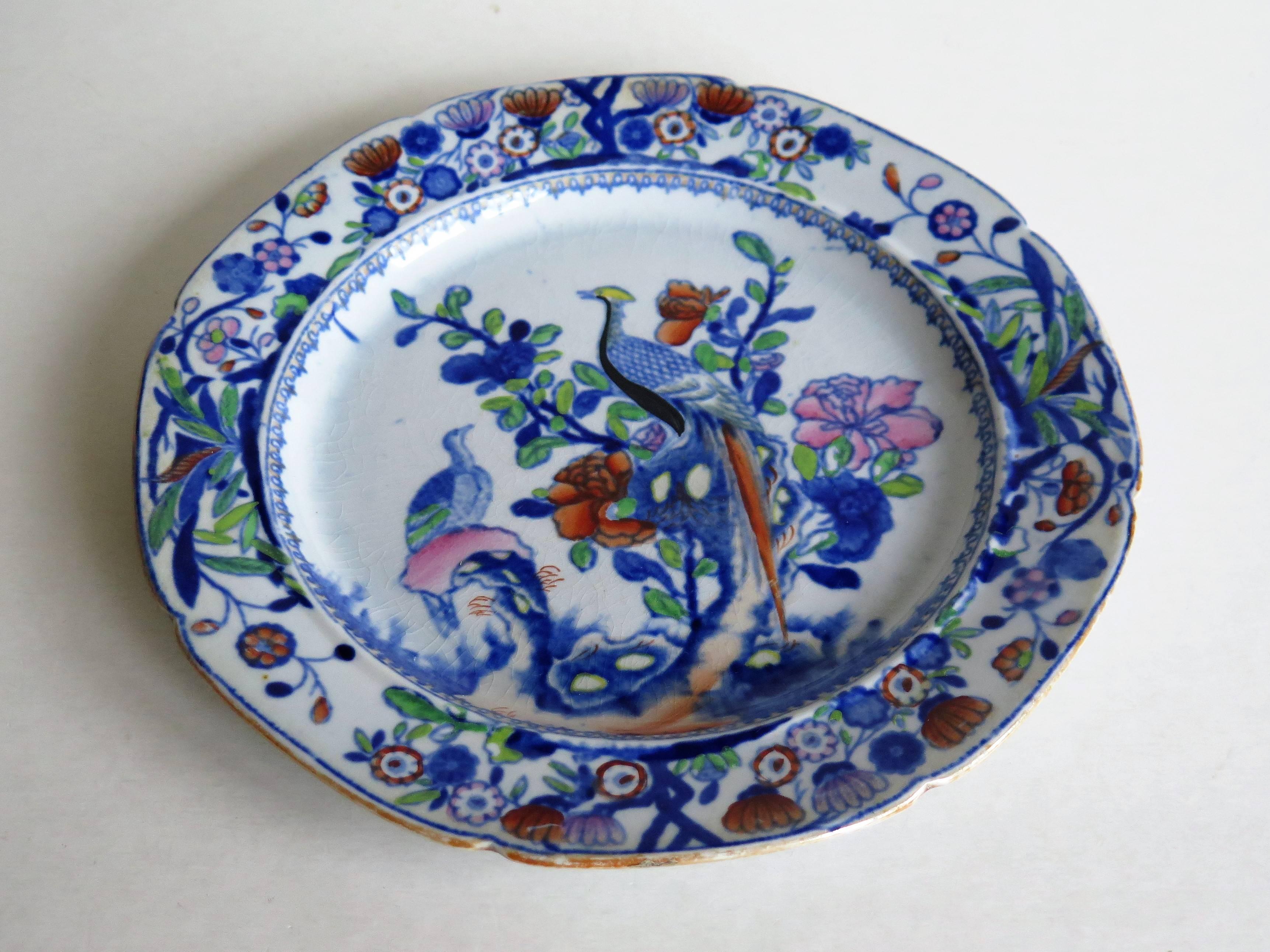Early PAIR of Mason's Ironstone Side Plates Oriental Pheasant Pattern, Ca 1815 8