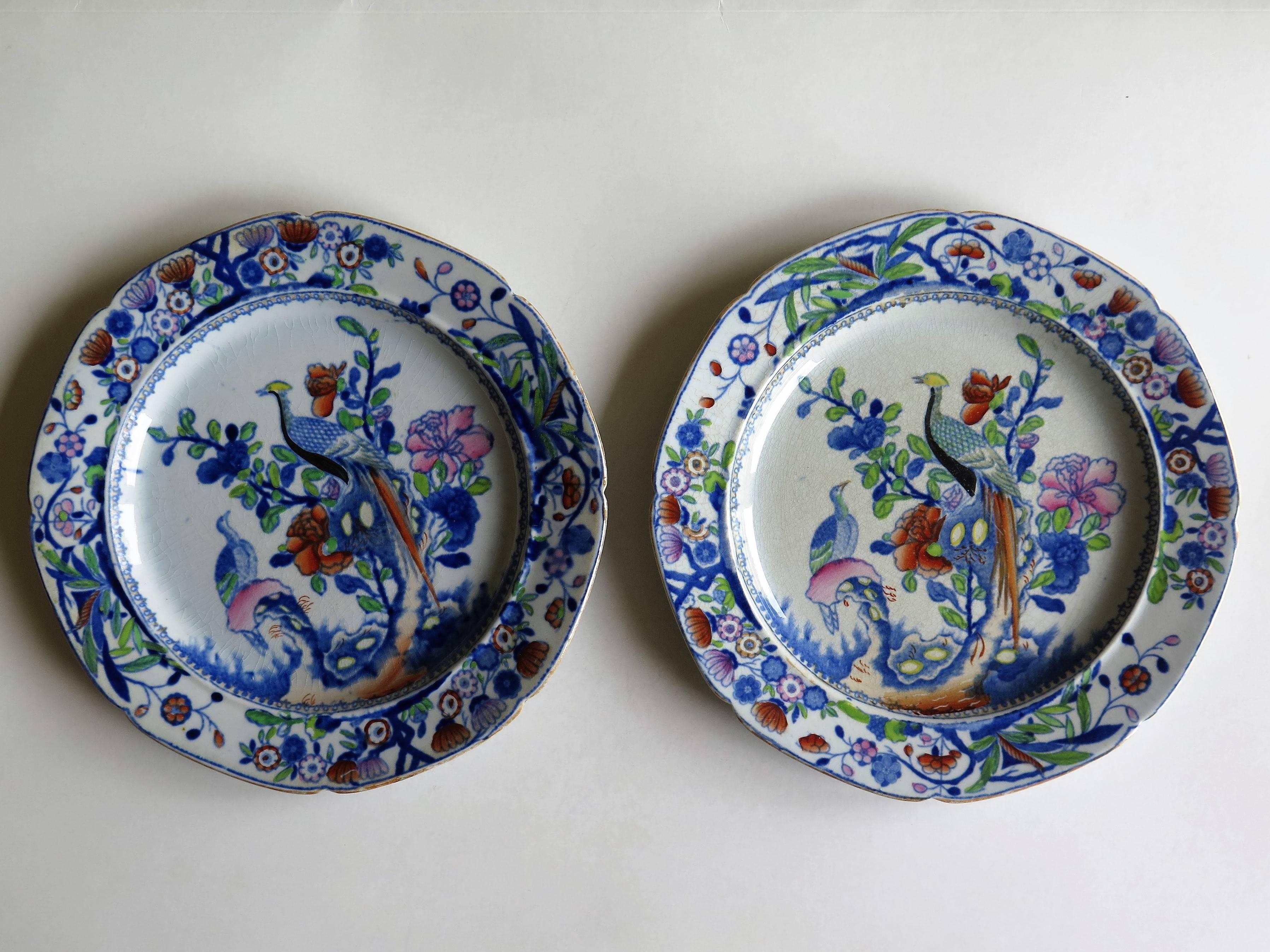 Chinoiserie Early PAIR of Mason's Ironstone Side Plates Oriental Pheasant Pattern, Ca 1815
