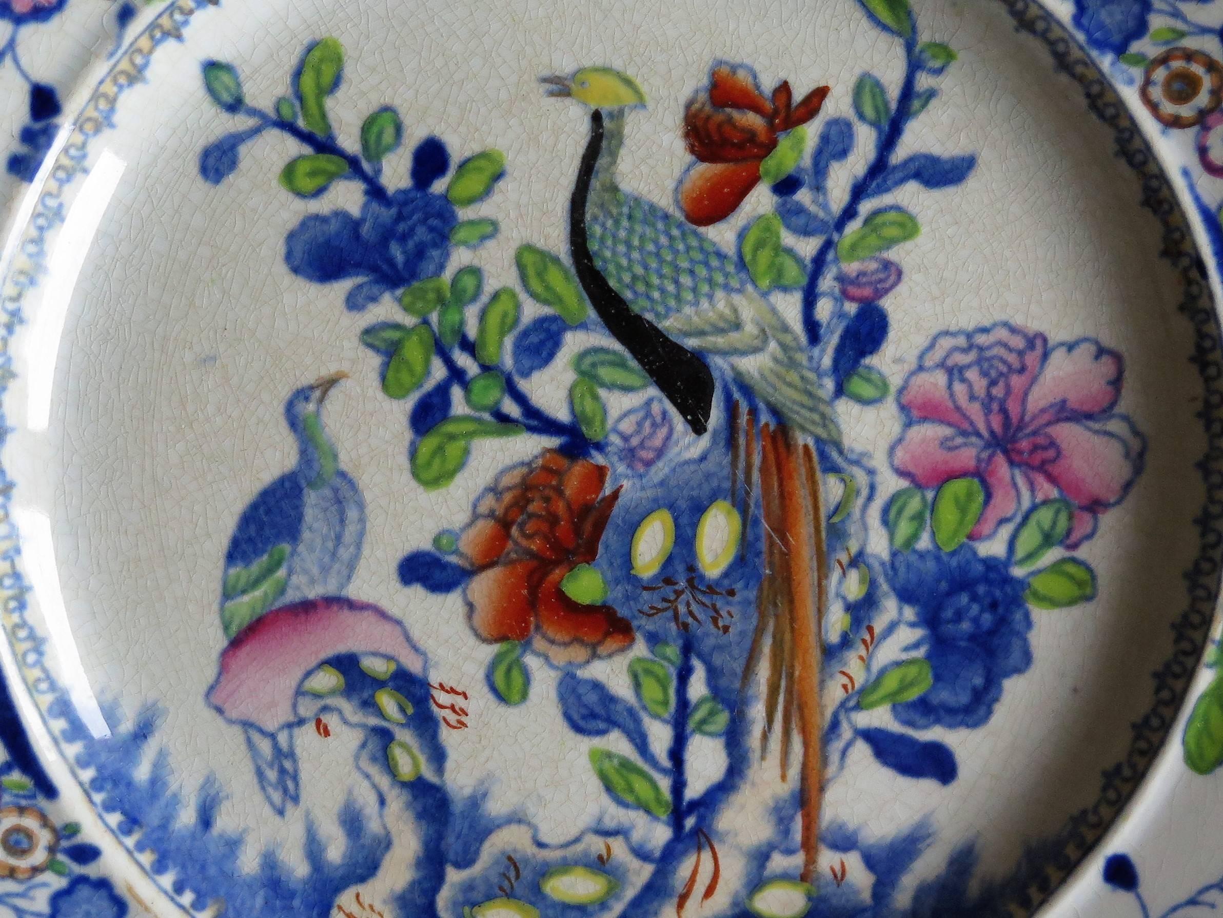 Early PAIR of Mason's Ironstone Side Plates Oriental Pheasant Pattern, Ca 1815 2