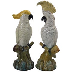 Pair of Edwardian Mintons Majolica Parrots or Cockatoos