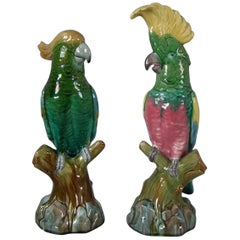 Pair of Edwardian Mintons Majolica Parrots or Cockatoos