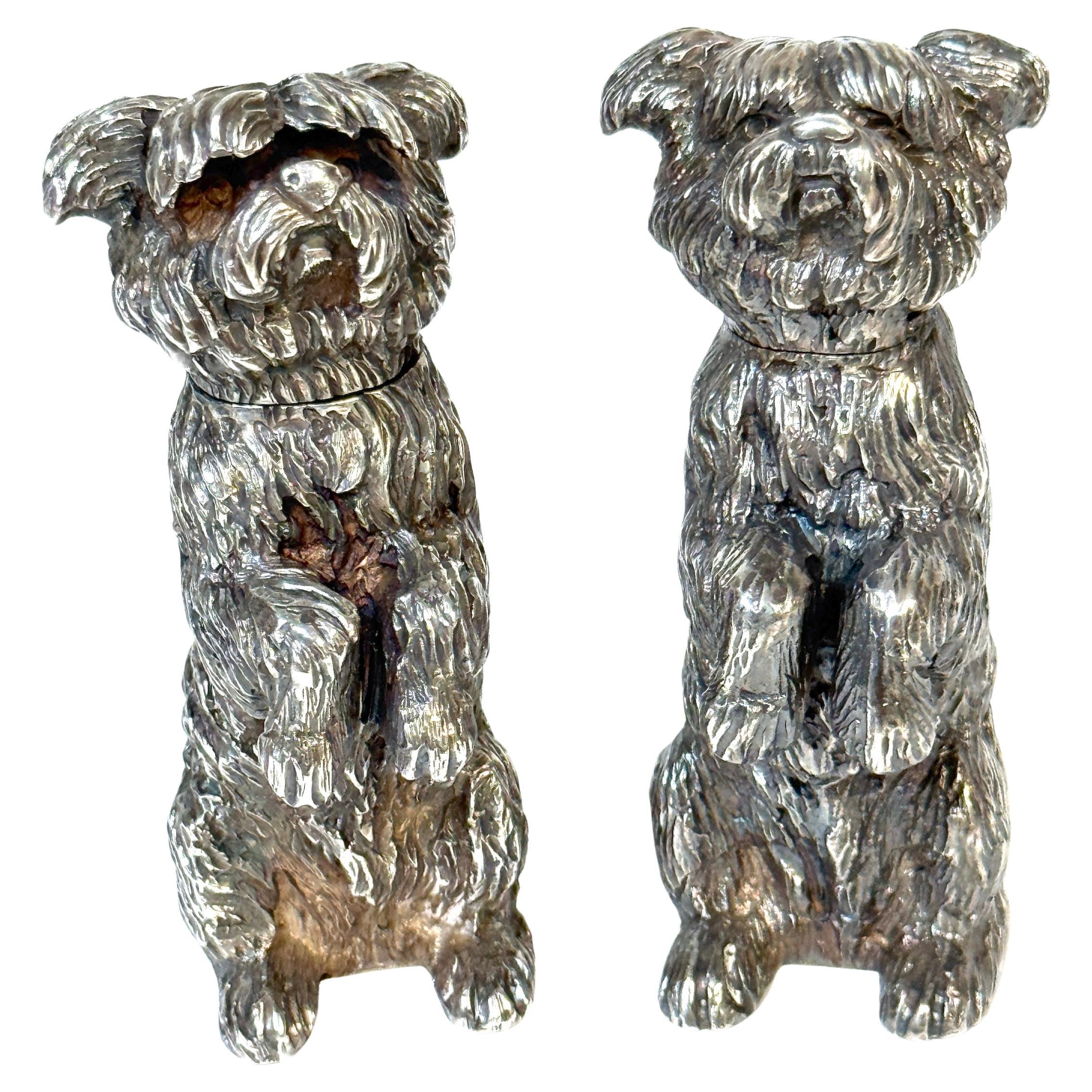 Paar Edwardian Sterling Terrier Salz & Pfeffer London, Jonathan Howell, 1906/1913 im Angebot