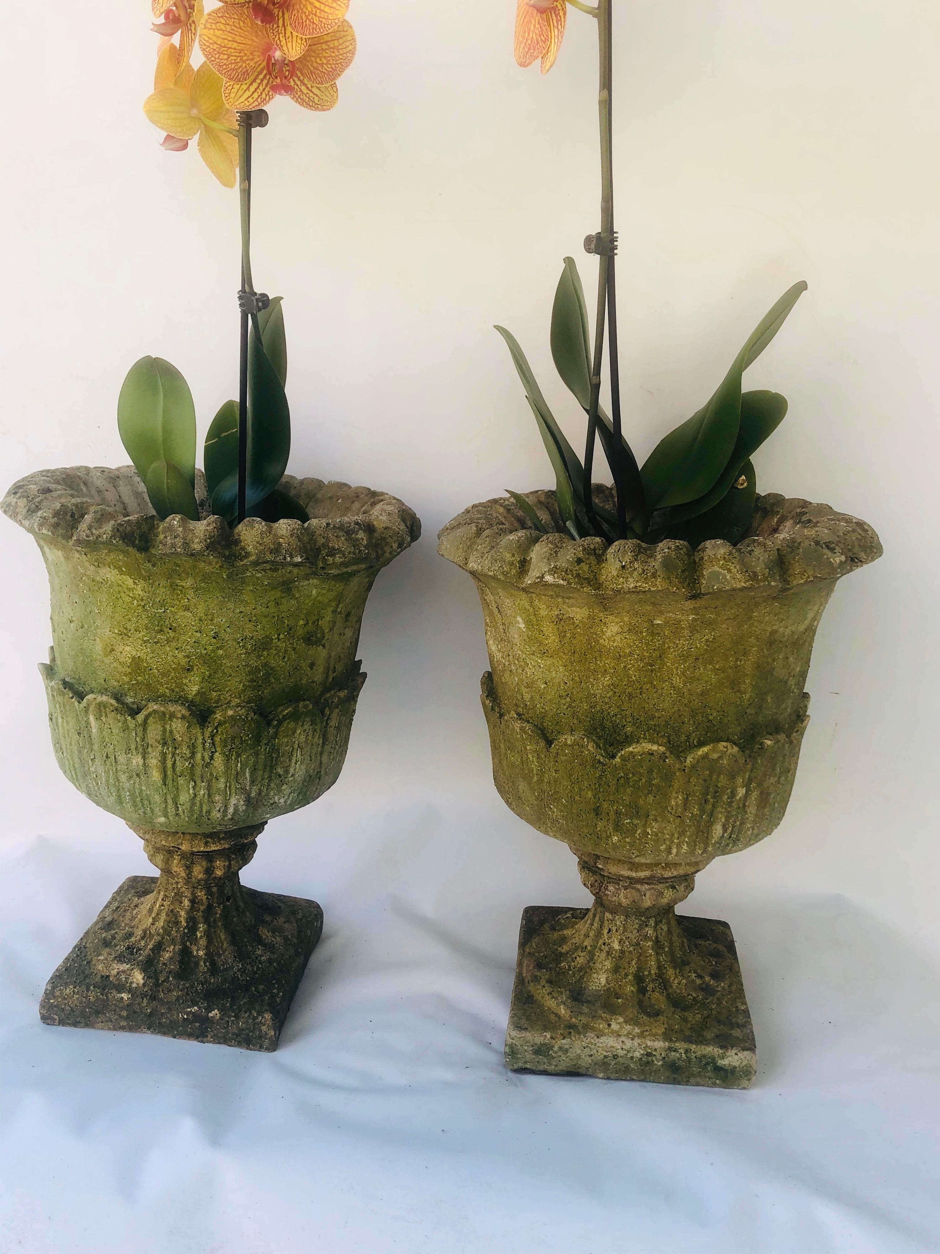 Edwardian Pair of Cast Stone English Garden Urns