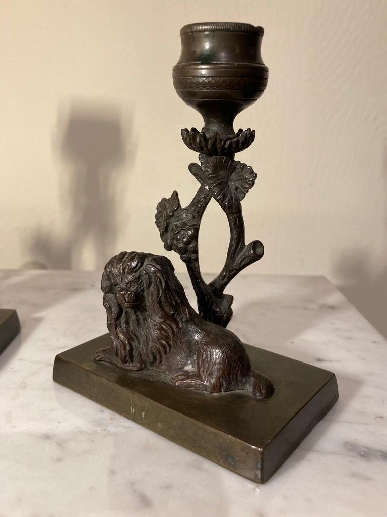 Pair English Regency Bronze Dog Candlesticks 7