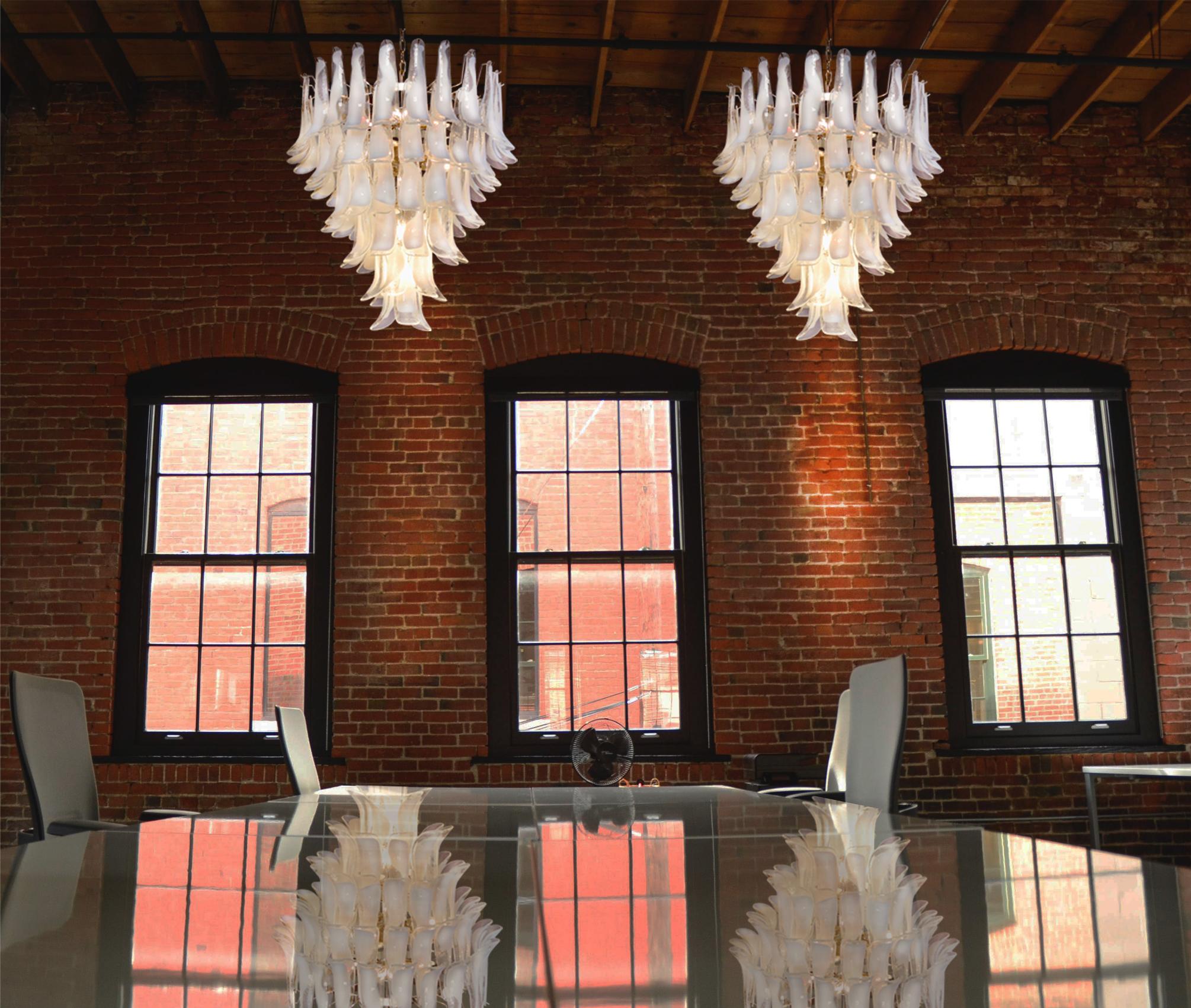 Pair chandeliers made by hand blown glass chandelier composed by 75 glass petals (transparent and white “lattimo”) in a chrome frame.
Dimensions: 65 inches (165 cm) height with chain, 37.40 inches (95 cm) height without chain, 31.50 inches (80 cm)