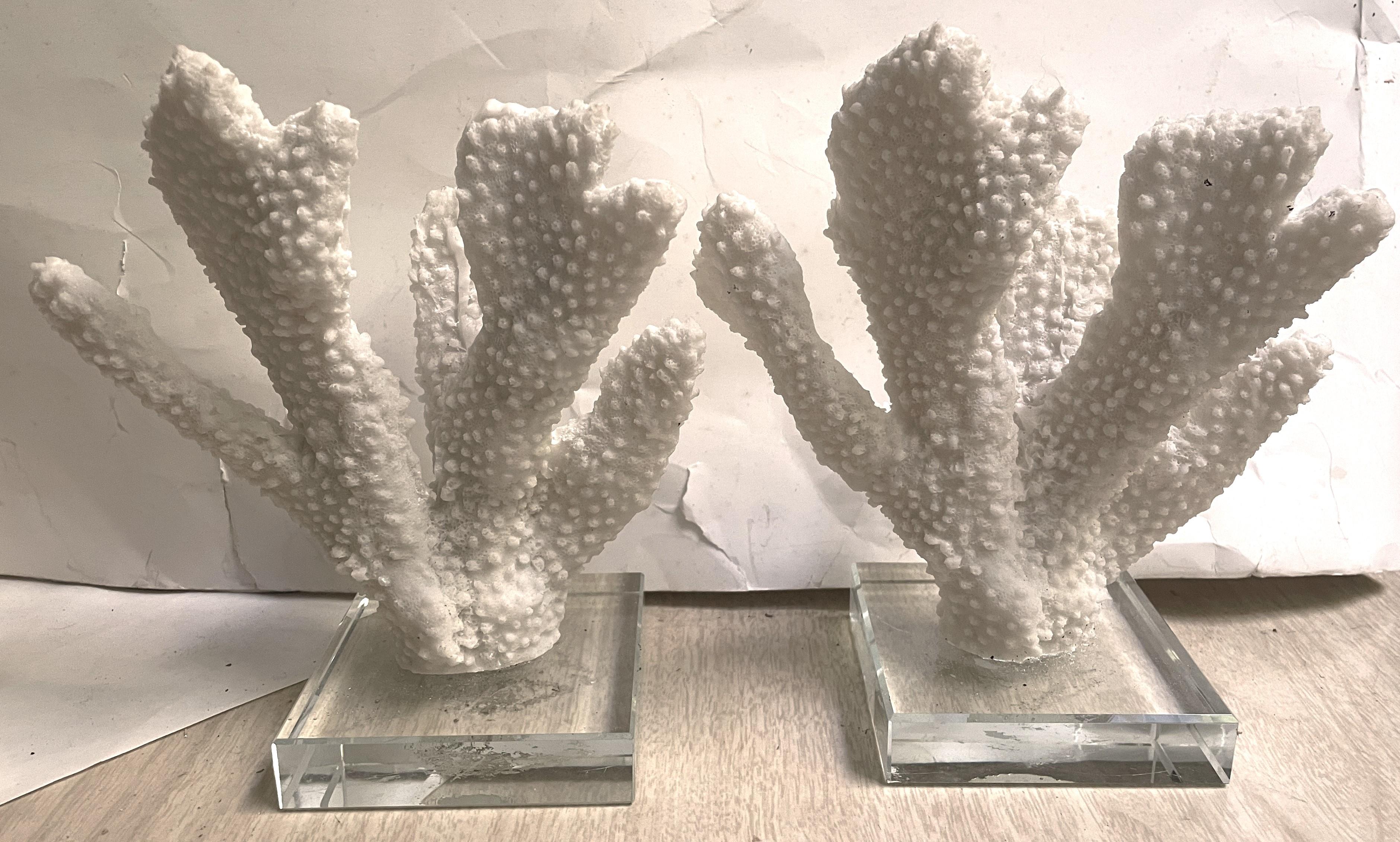 Paire d'objets décoratifs en faux corail blanc à doigt épais monté sur verre en vente 4