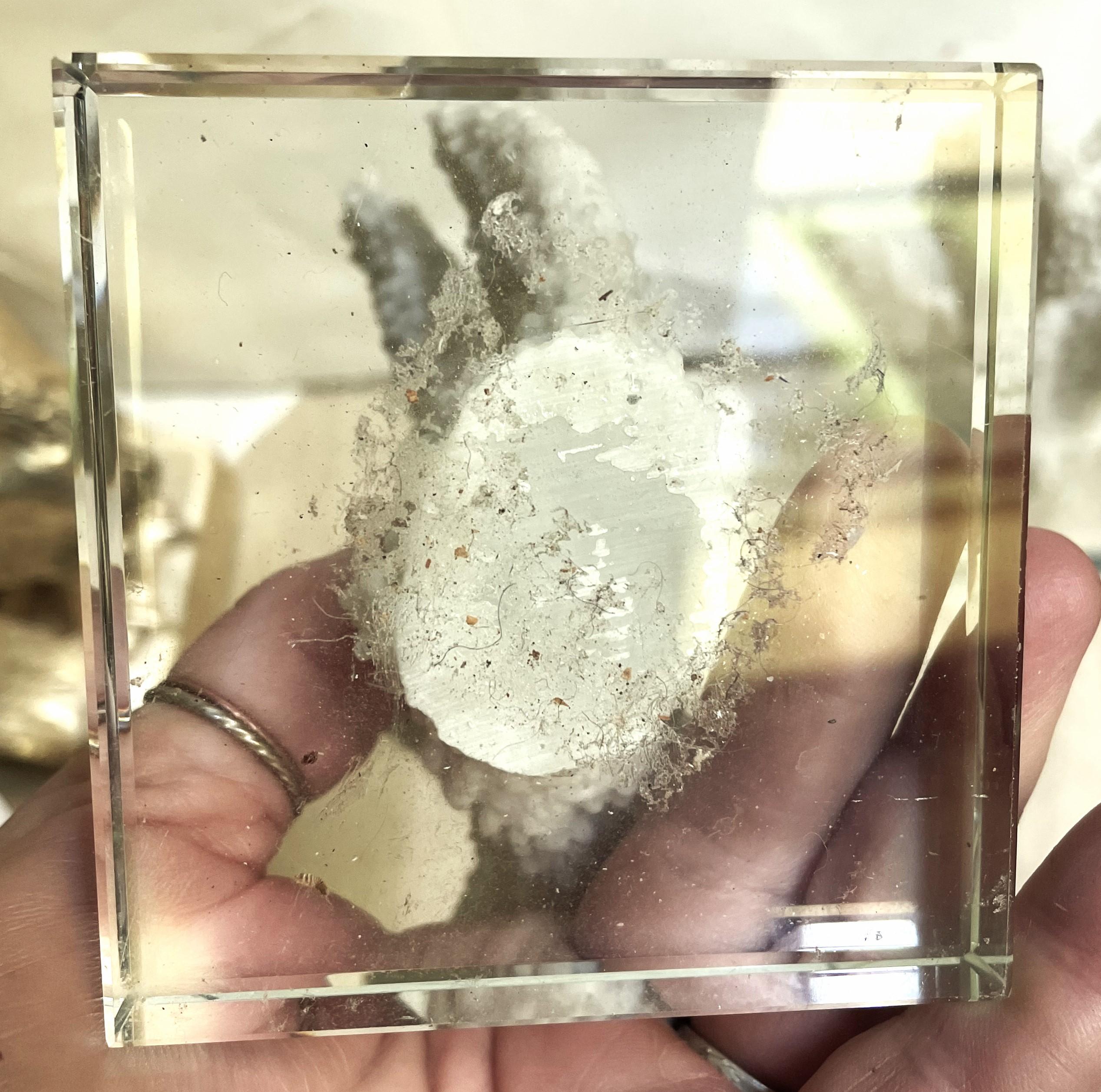 Paire d'objets décoratifs en faux corail blanc à doigt épais monté sur verre en vente 5