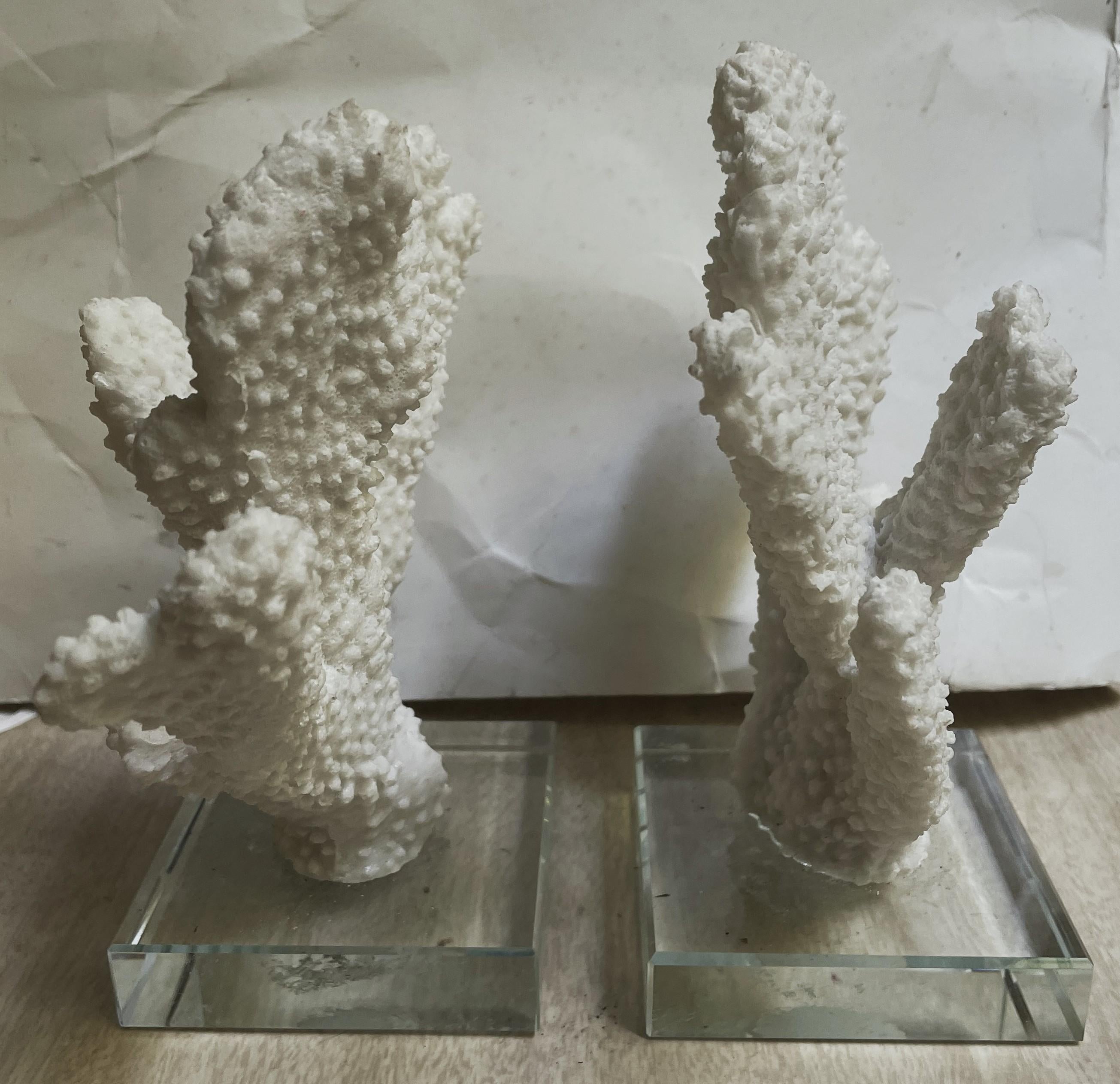 Voici une paire décorative de faux coraux blancs à doigts épais montés sur une base en verre, ils seraient parfaits pour rehausser une ambiance naturelle dans n'importe quelle pièce, comme sur les supports à côté d'un lit, dans un espace de vie, un