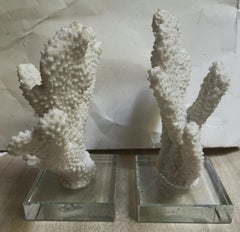 Pareja de corales de imitación blancos de dedos gruesos montados sobre objetos decorativos de cristal