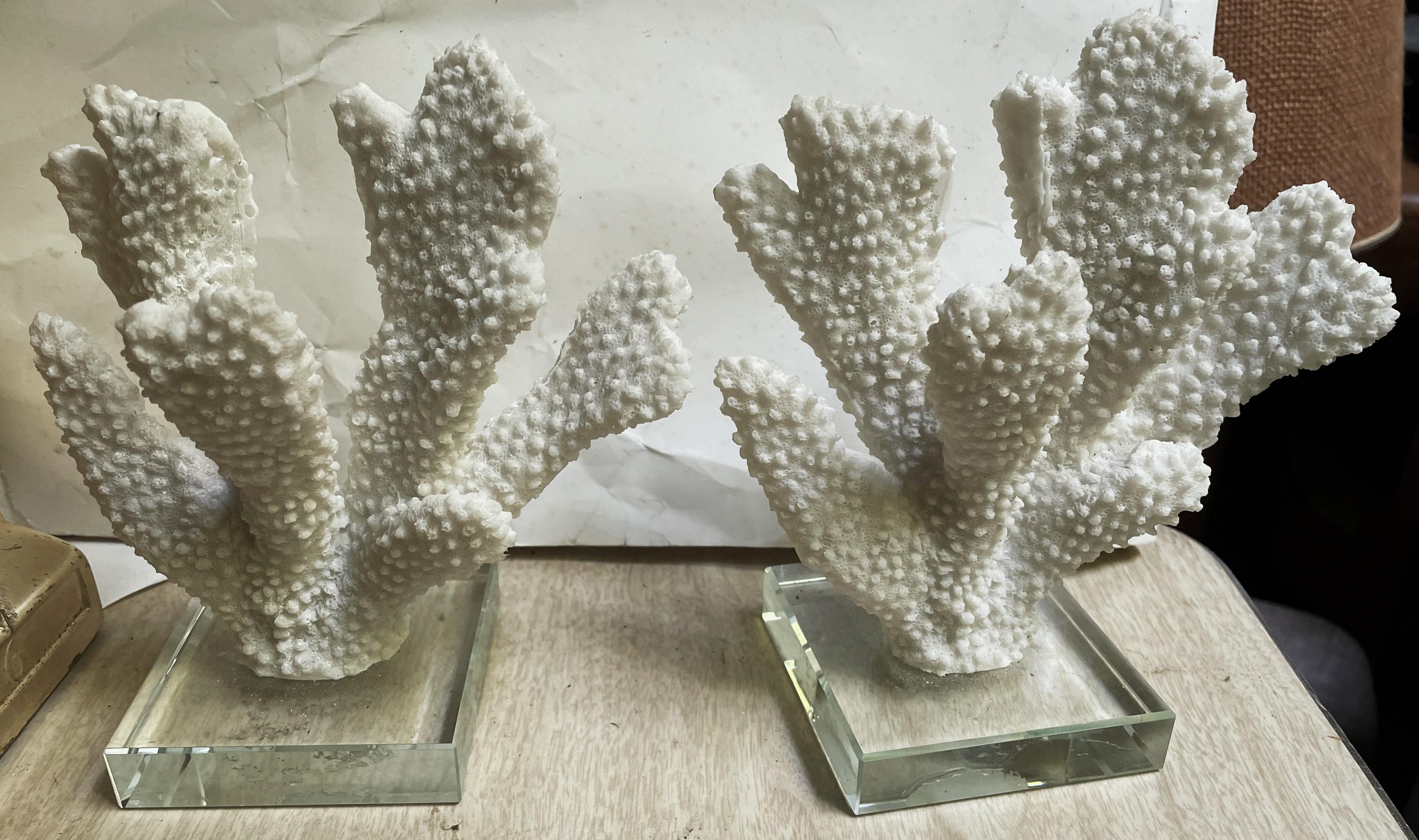 Inconnu Paire d'objets décoratifs en faux corail blanc à doigt épais monté sur verre en vente