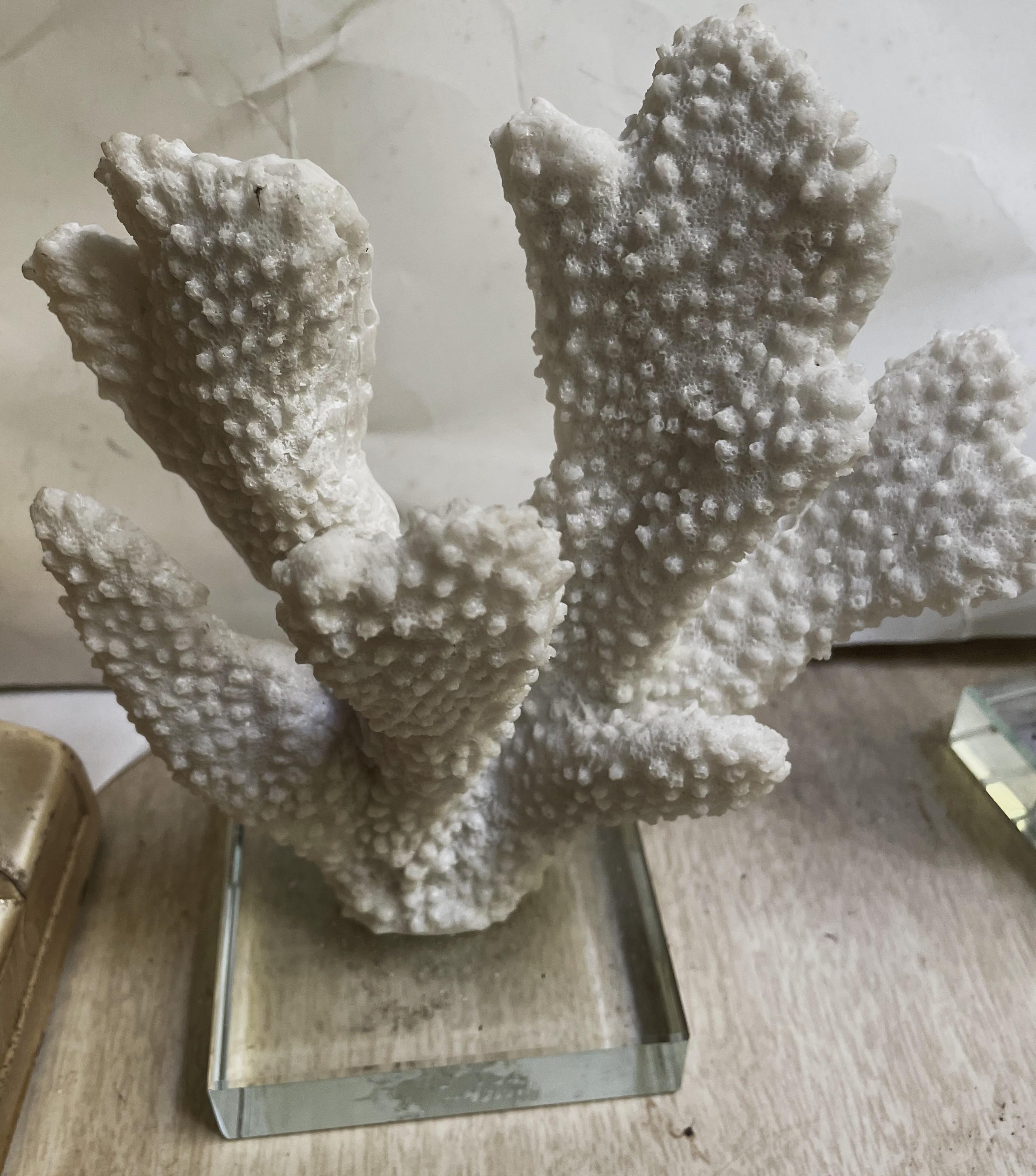 Paire d'objets décoratifs en faux corail blanc à doigt épais monté sur verre Bon état - En vente à Clifton Forge, VA