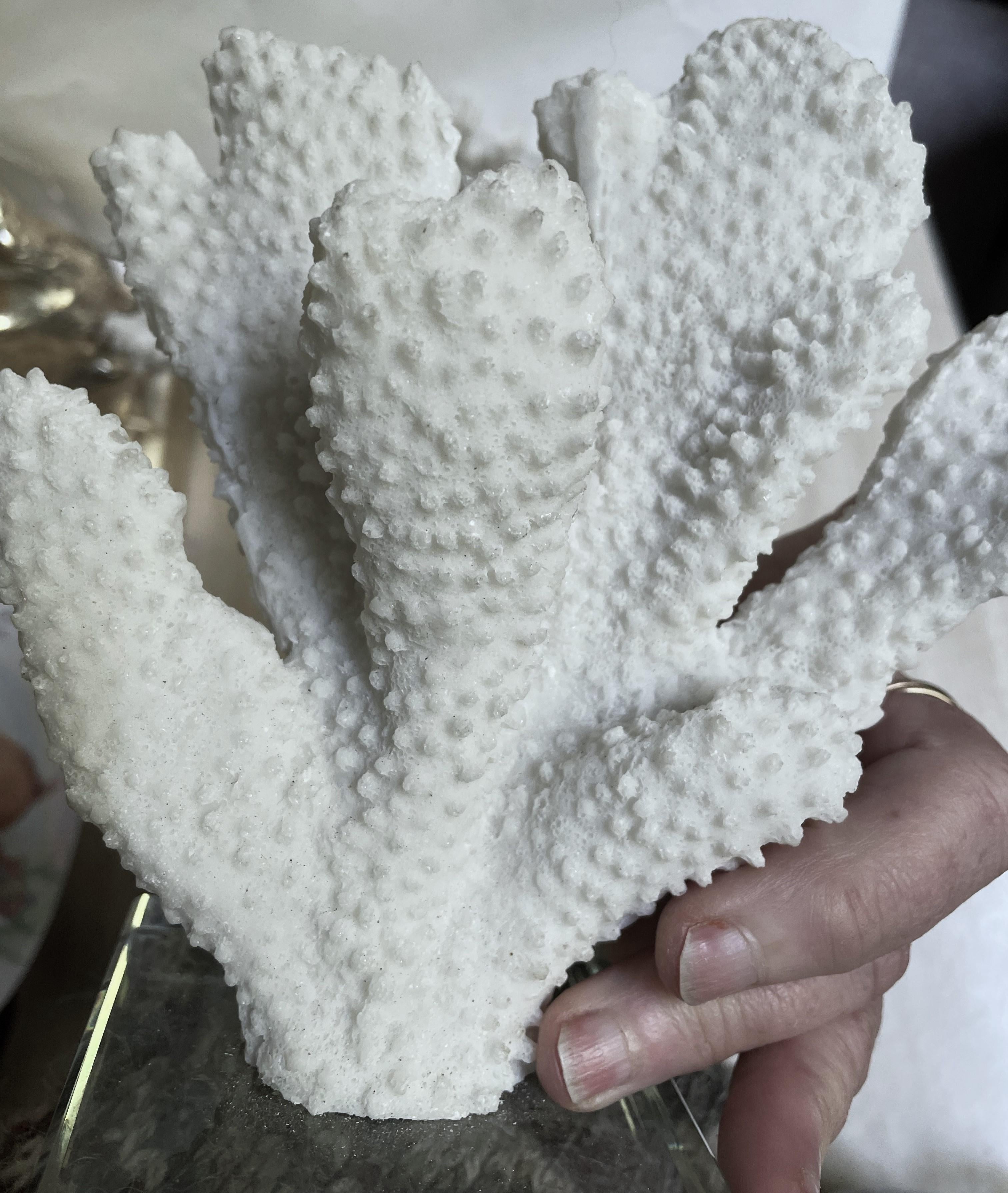 Paire d'objets décoratifs en faux corail blanc à doigt épais monté sur verre en vente 1