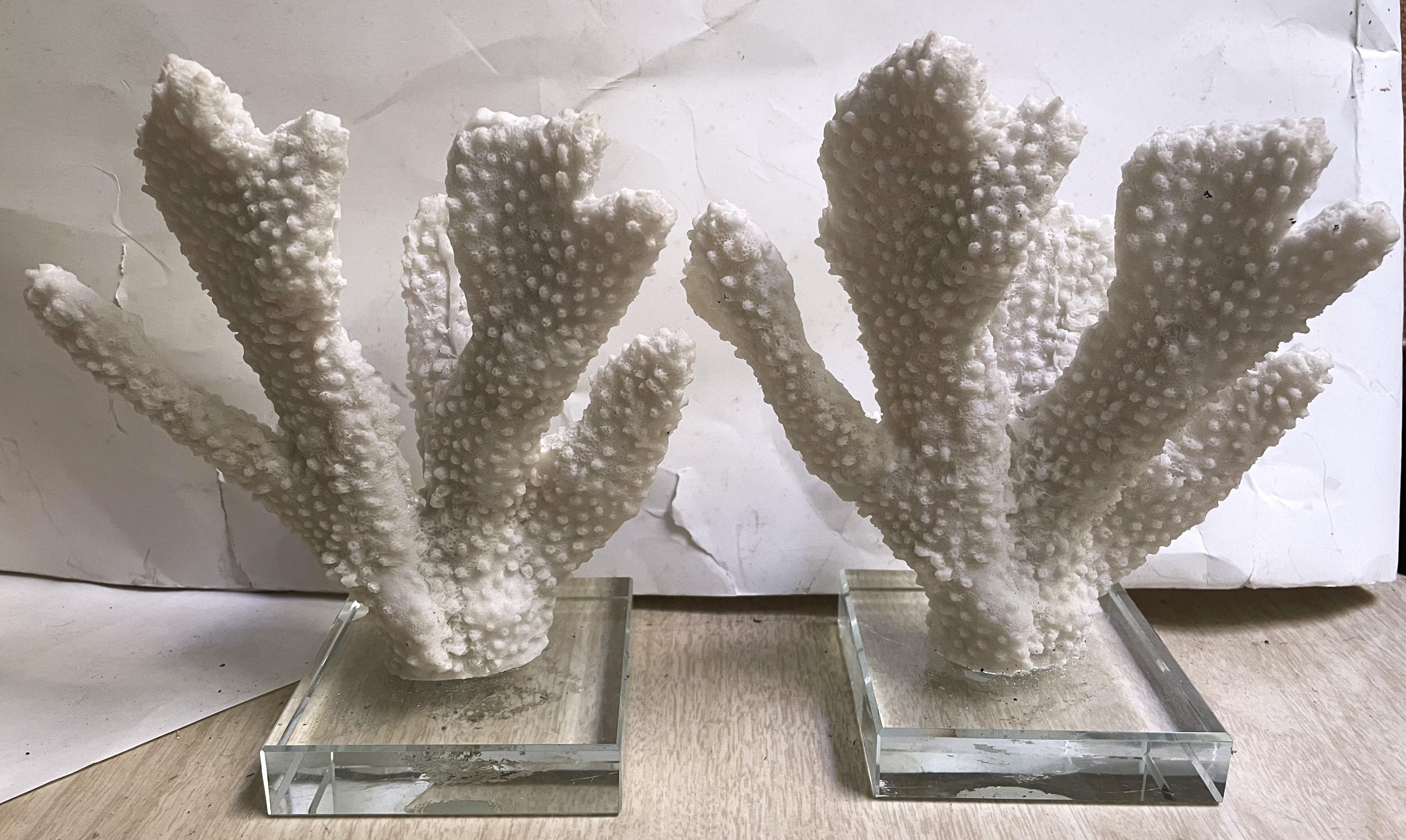 Paire d'objets décoratifs en faux corail blanc à doigt épais monté sur verre en vente 3