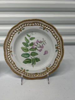 Pair, Flora Danica by Royal Copenhagen 9" Botanical Luncheon Plates