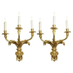 Pair French 19th Century Régence Style 3-Light Gilt-Bronze Wall Lights Sconces
