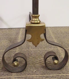 Pair of French 19th Century Steel and Brass Chenets