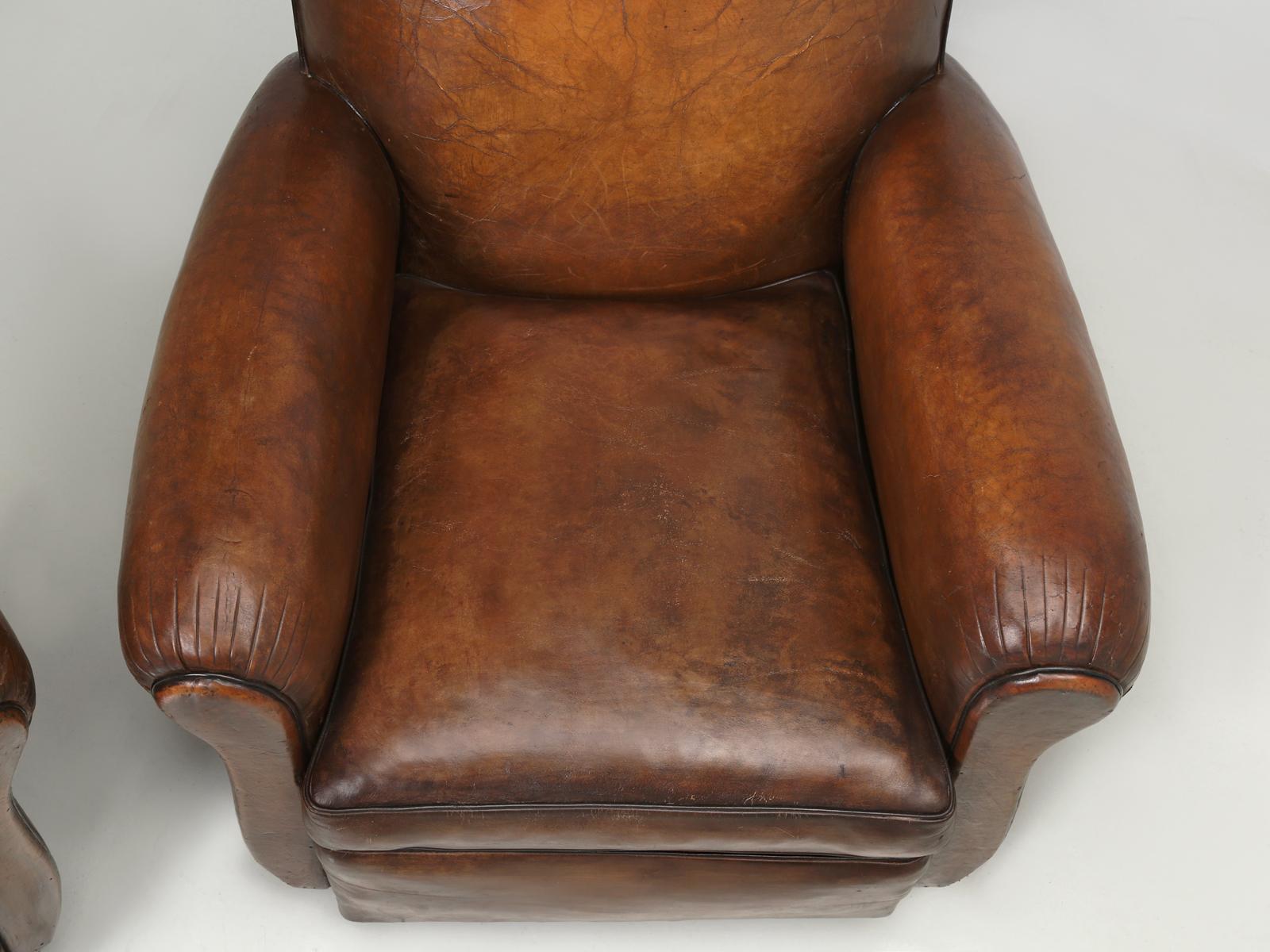 Pair French Club Chairs Restored Correctly from the Frame Up in Original Leather 2