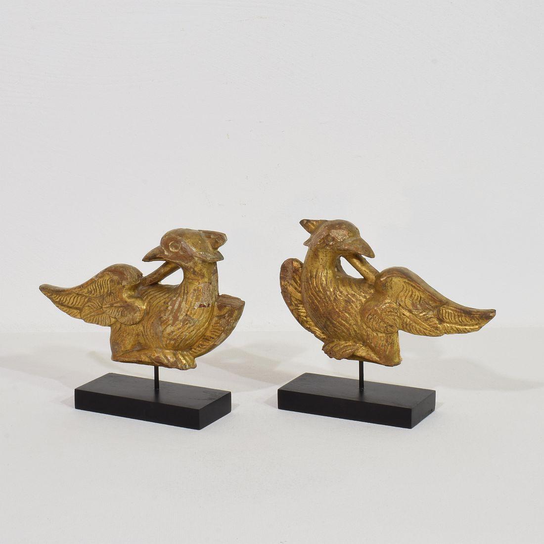 Wunderschönes Paar handgeschnitzter Vogelfragmente aus Vergoldungsholz. 
Frankreich ca. 1805-1820 . Verwitterung und kleine Schäden
Die Maße sind individuell und beinhalten den Holzsockel.