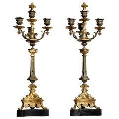 Pair of French Gilt and Patinated Bronze 19th Century Candelabra