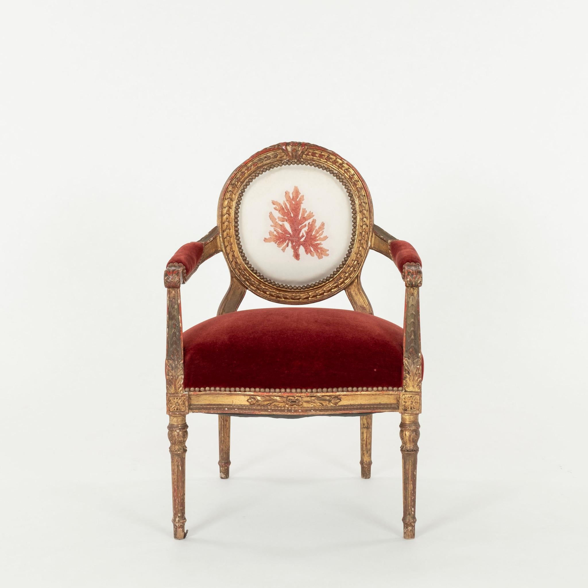 Gilt Pair French Louis XVI Style Red Coral  Chairs For Sale