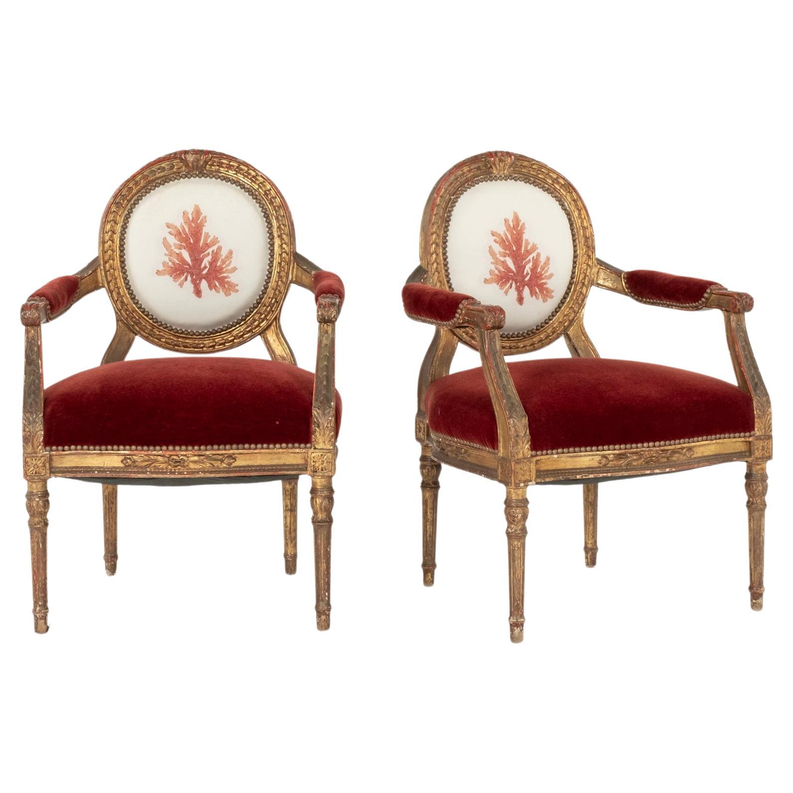 Pair French Louis XVI Style Red Coral  Chairs For Sale