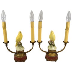 Pair of French Style Porcelain Gold Finch Bird Mantel Lamps
